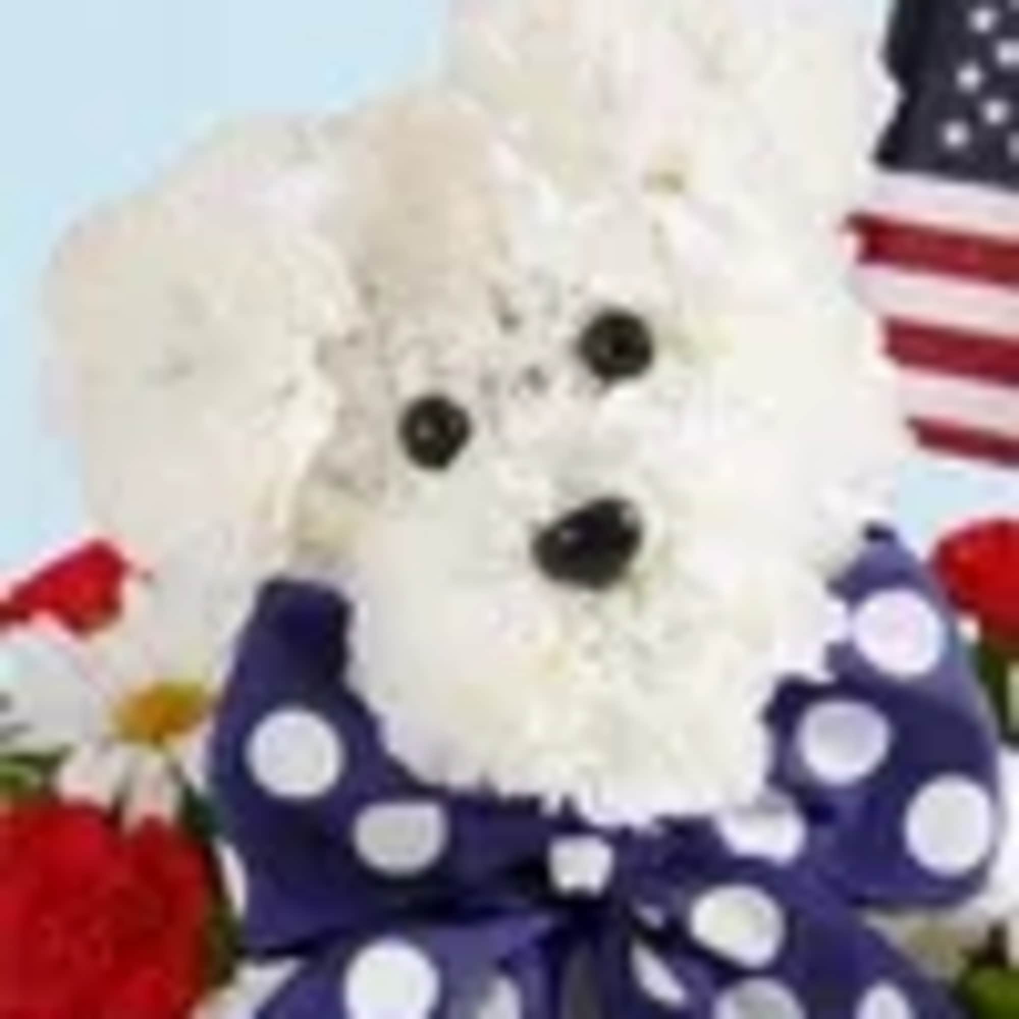 White teddy bear with a purple polka-dot bow among flowers