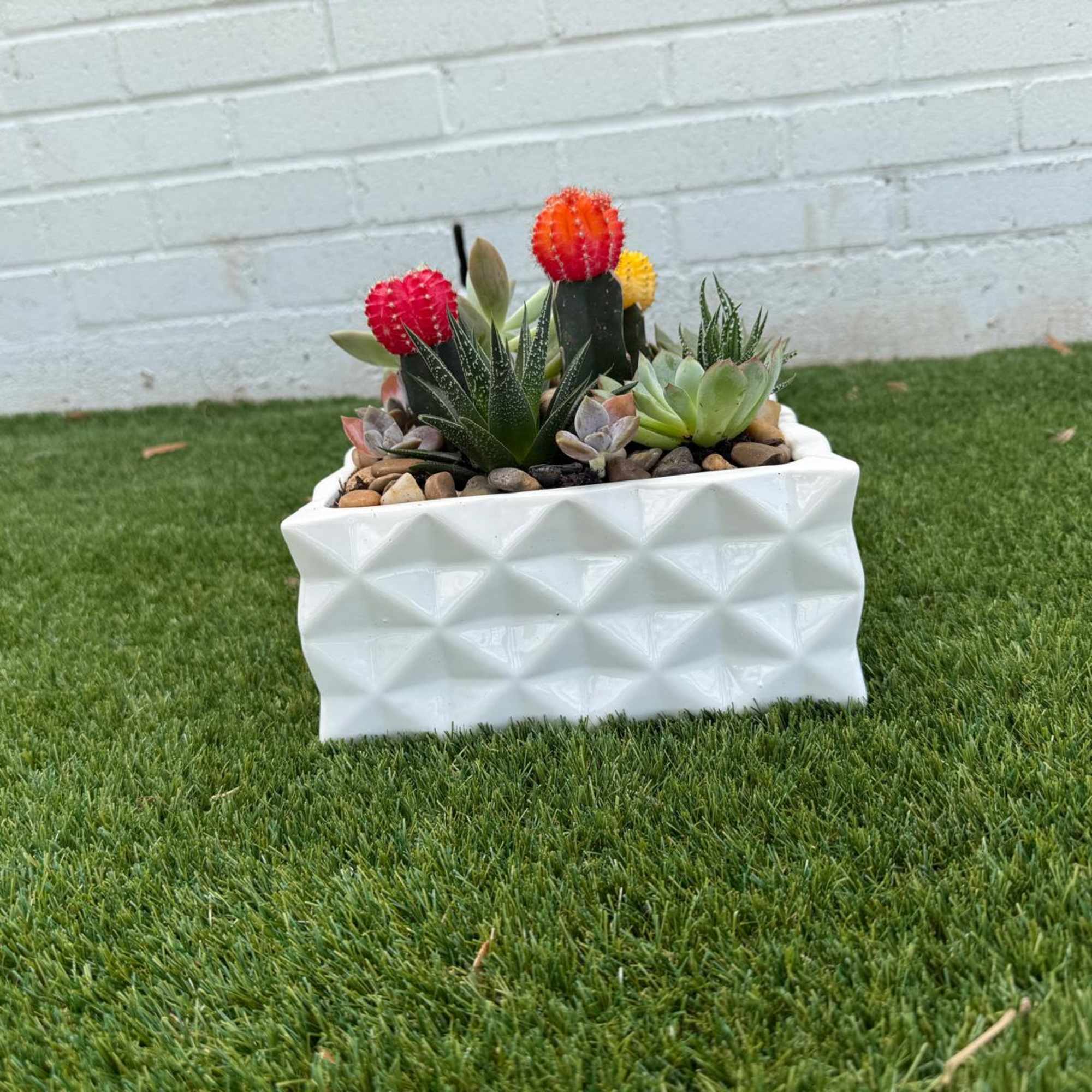 Succulent arrangement in a white geometric planter with colorful cactus blooms