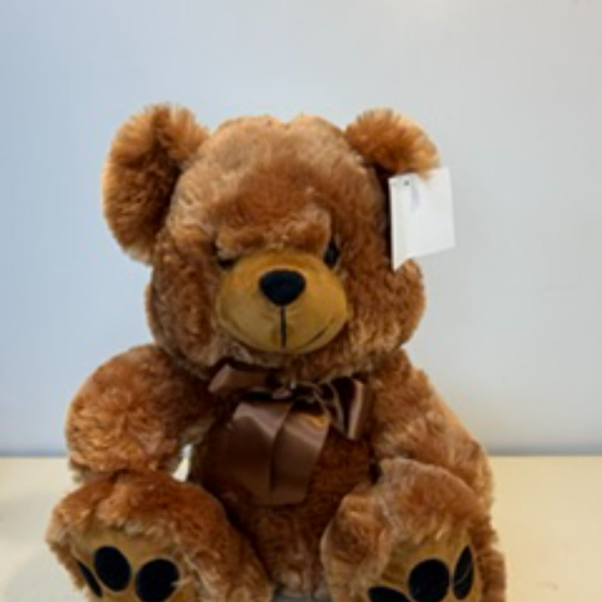 Brown plush teddy bear with a ribbon bow and hanging tag
