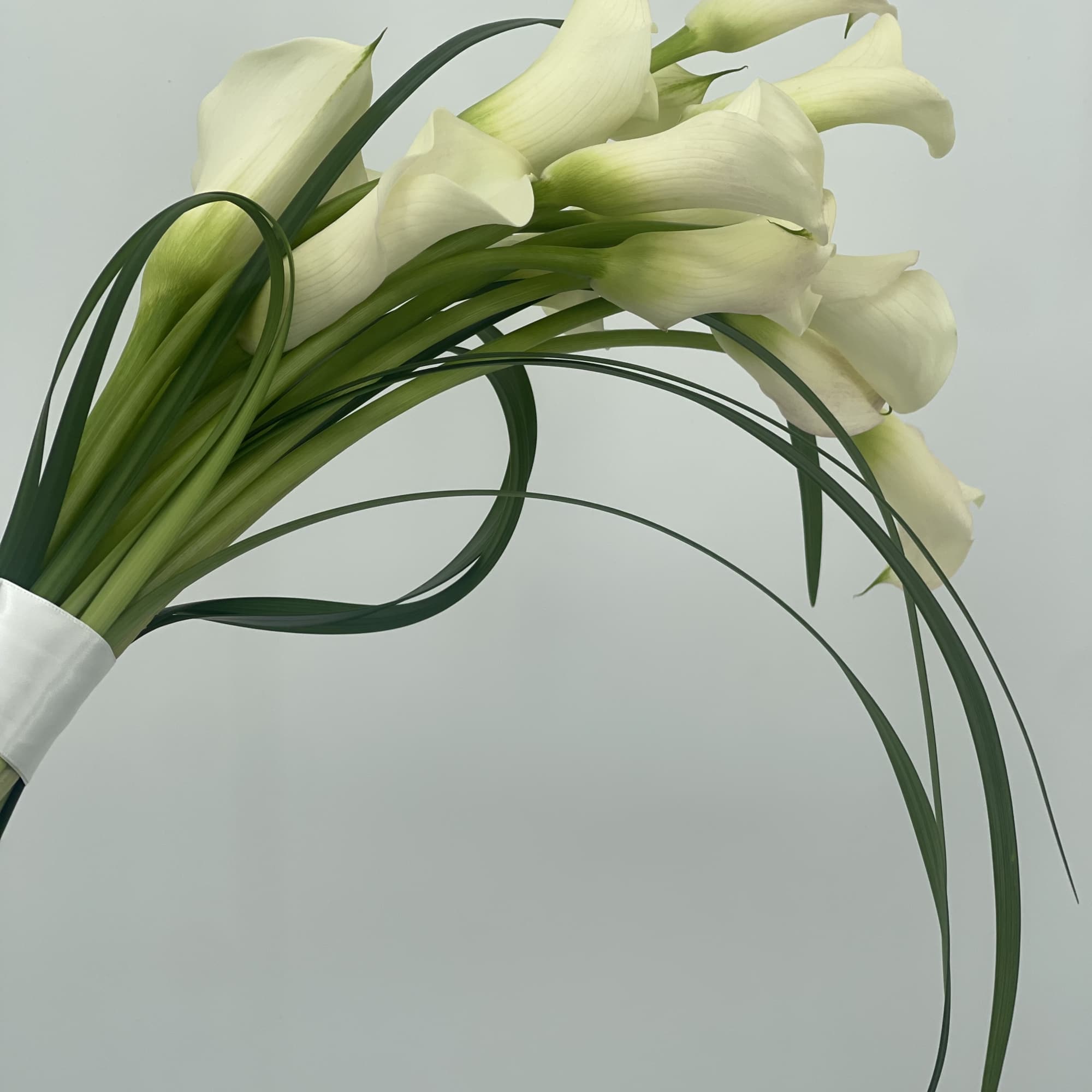 Bouquet of white calla lilies with long curved stems