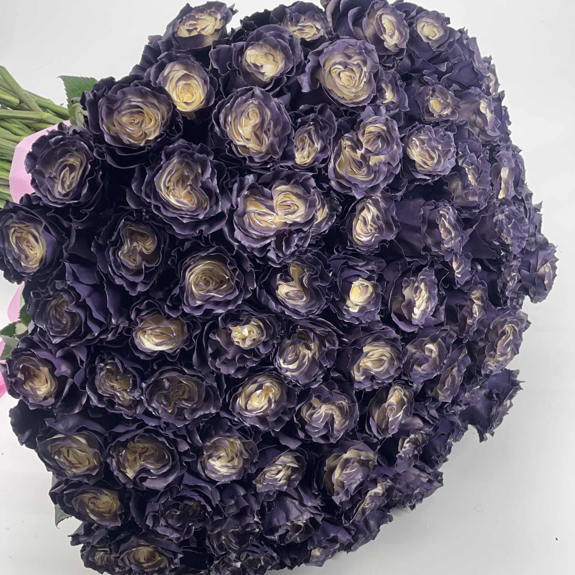 Bouquet of deep purple roses with pale centers