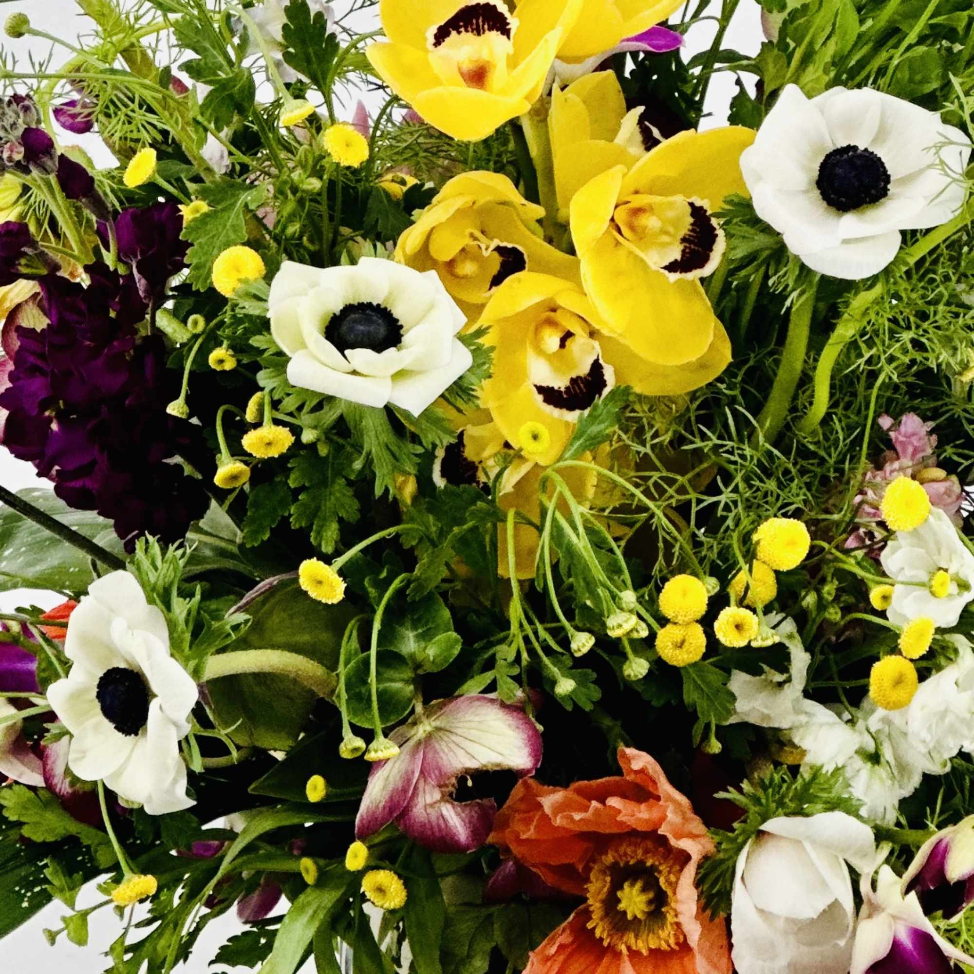 Mixed bouquet with yellow and white orchids, anemones, and poppies