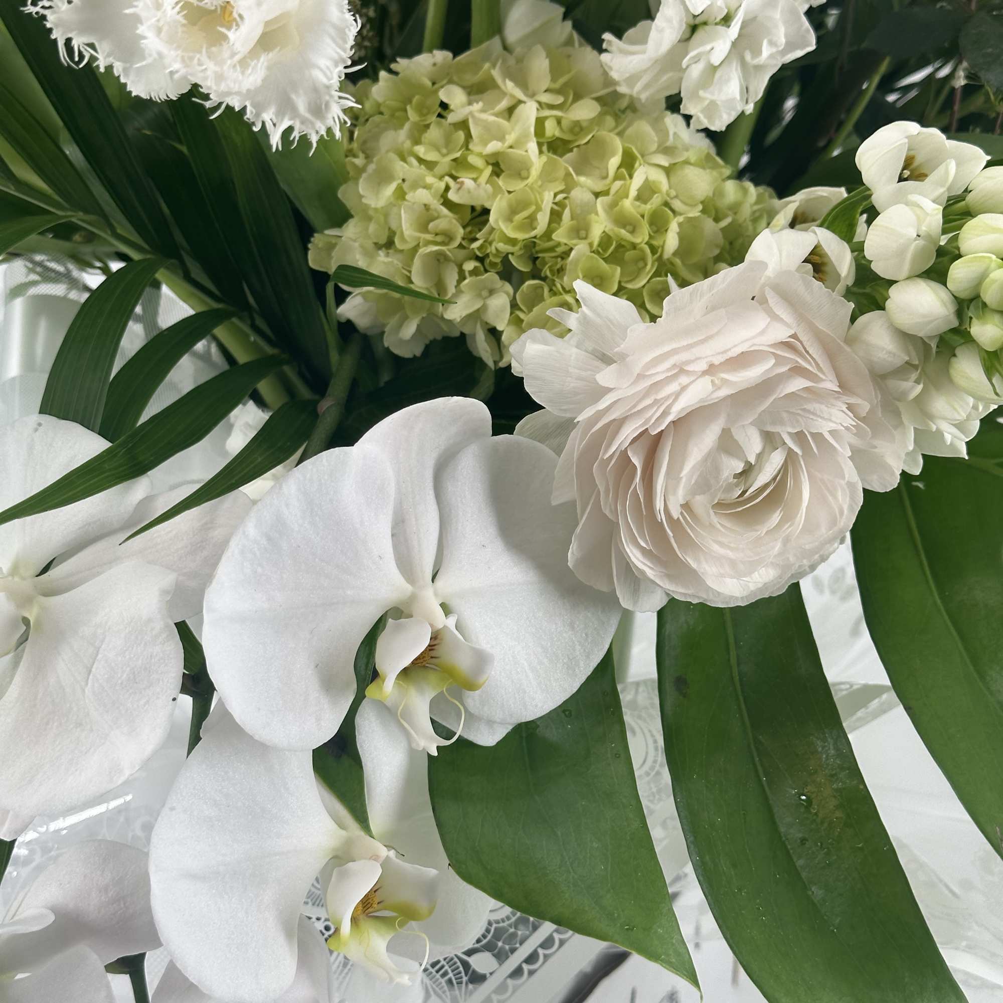 White orchids and pale blooms arranged with broad green leaves