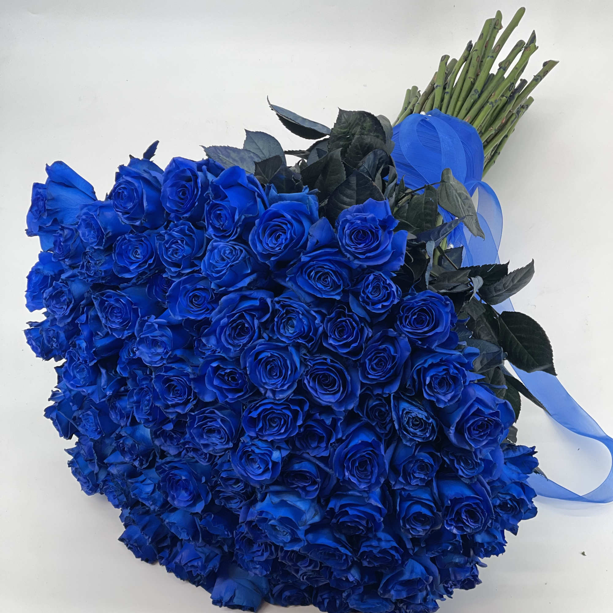 Large bouquet of vivid blue roses tied with a blue ribbon, photo 10 of 11