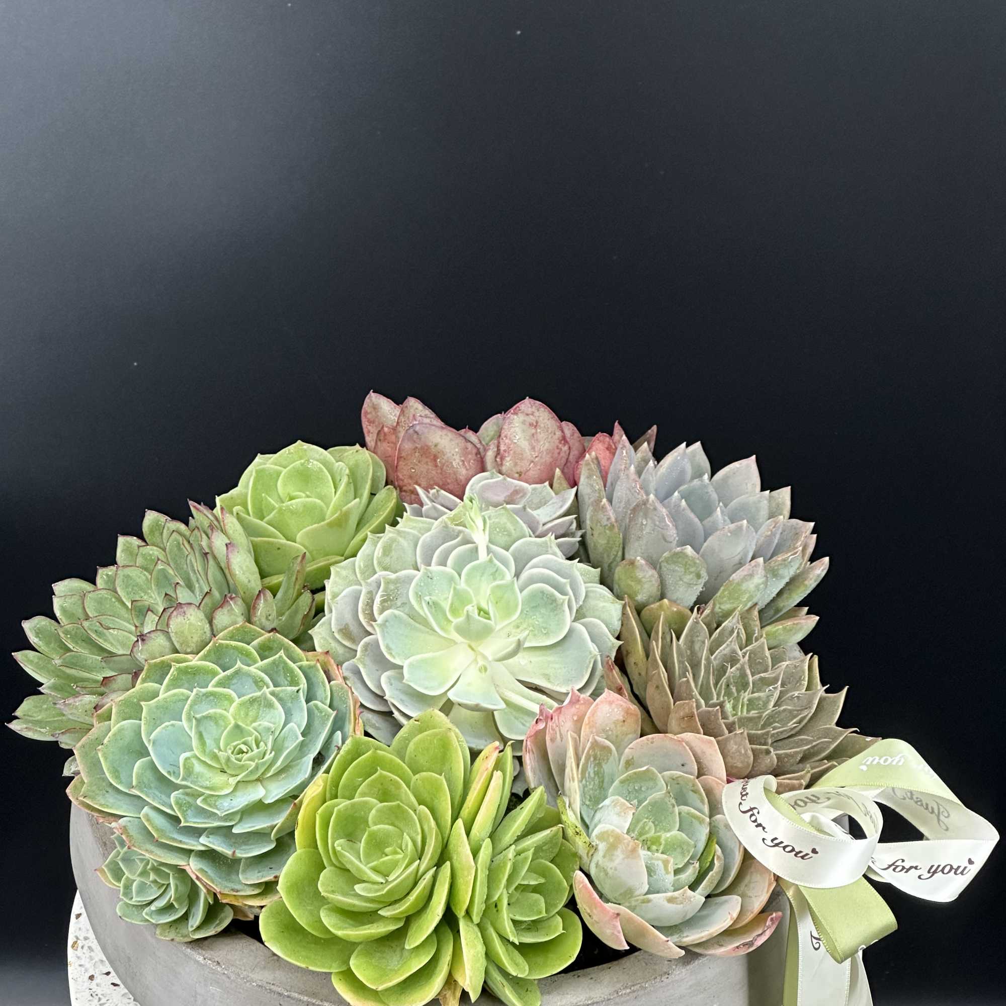 A modern botanical sculpture featuring layered succulent in soft ,organic tones .Designed, photo 2 of 5