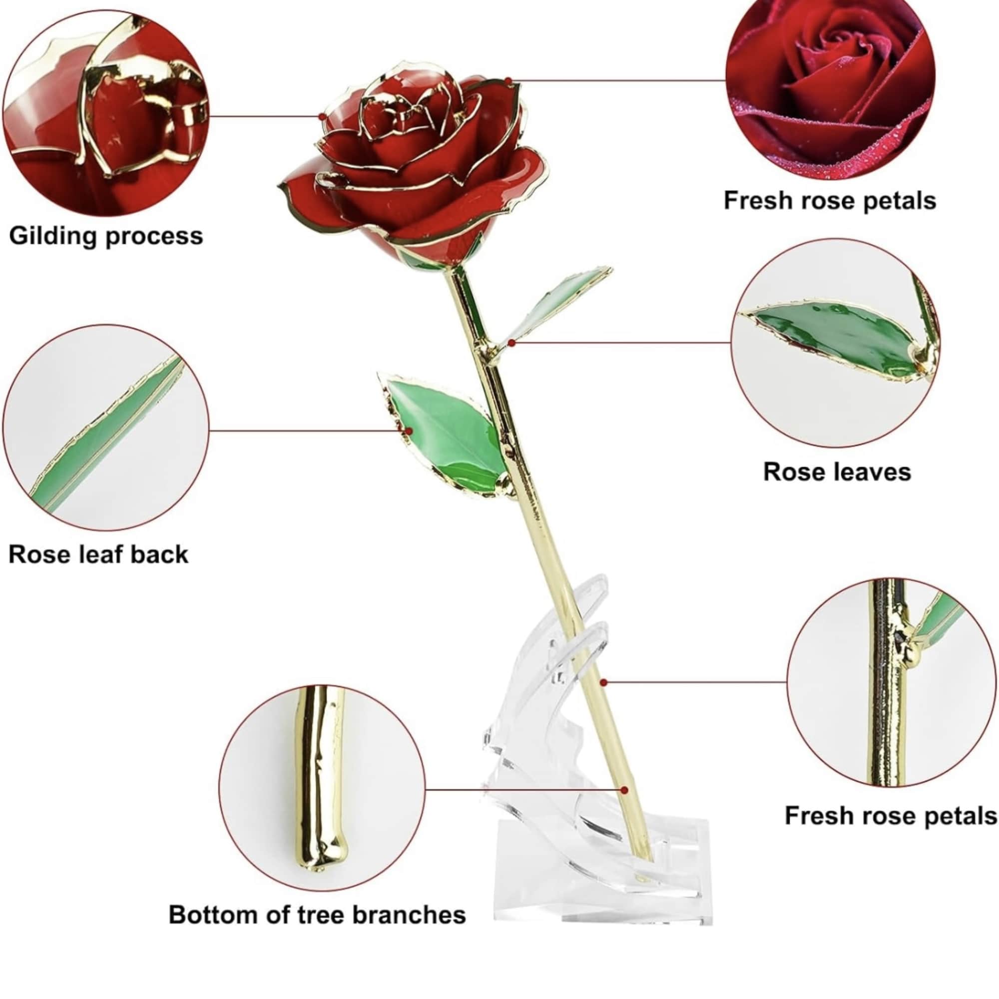 Single red rose with gold edges on a clear stand