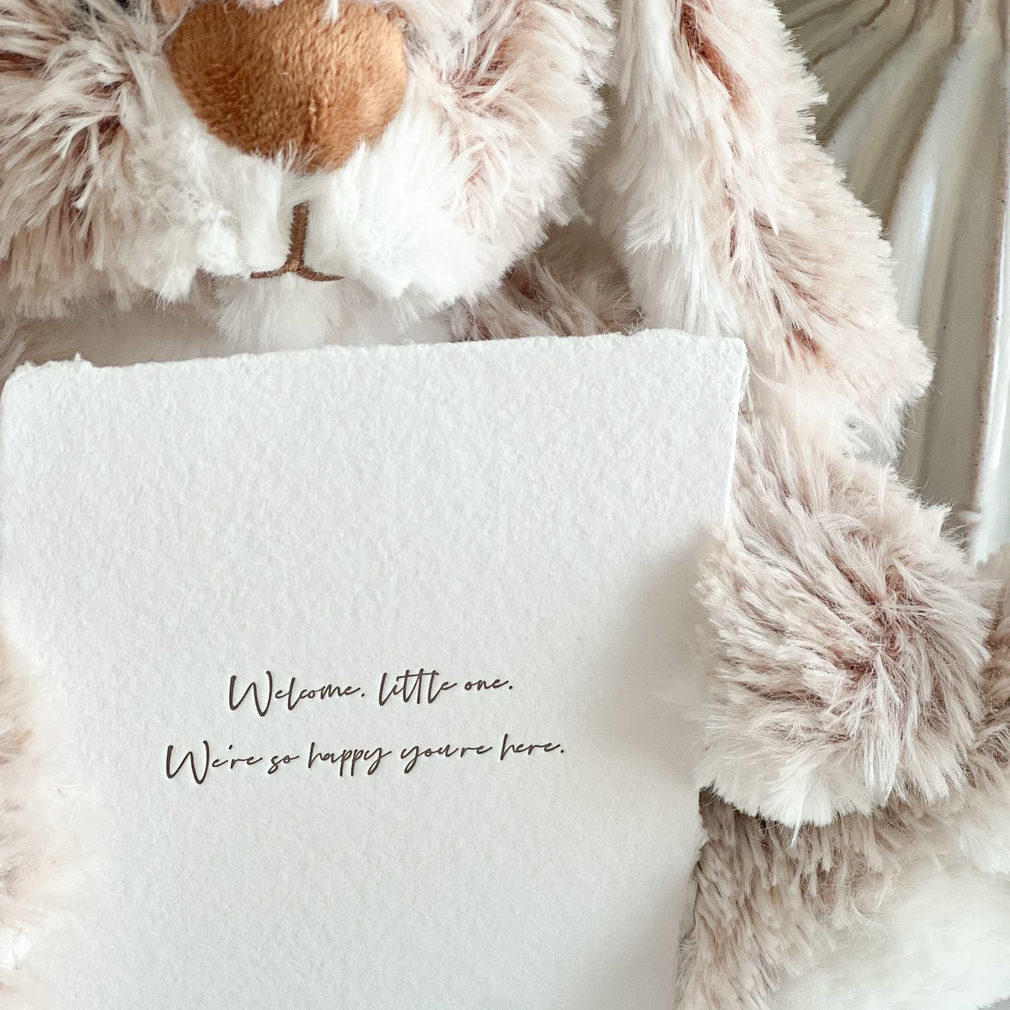Plush bunny holding a welcome card for a new baby