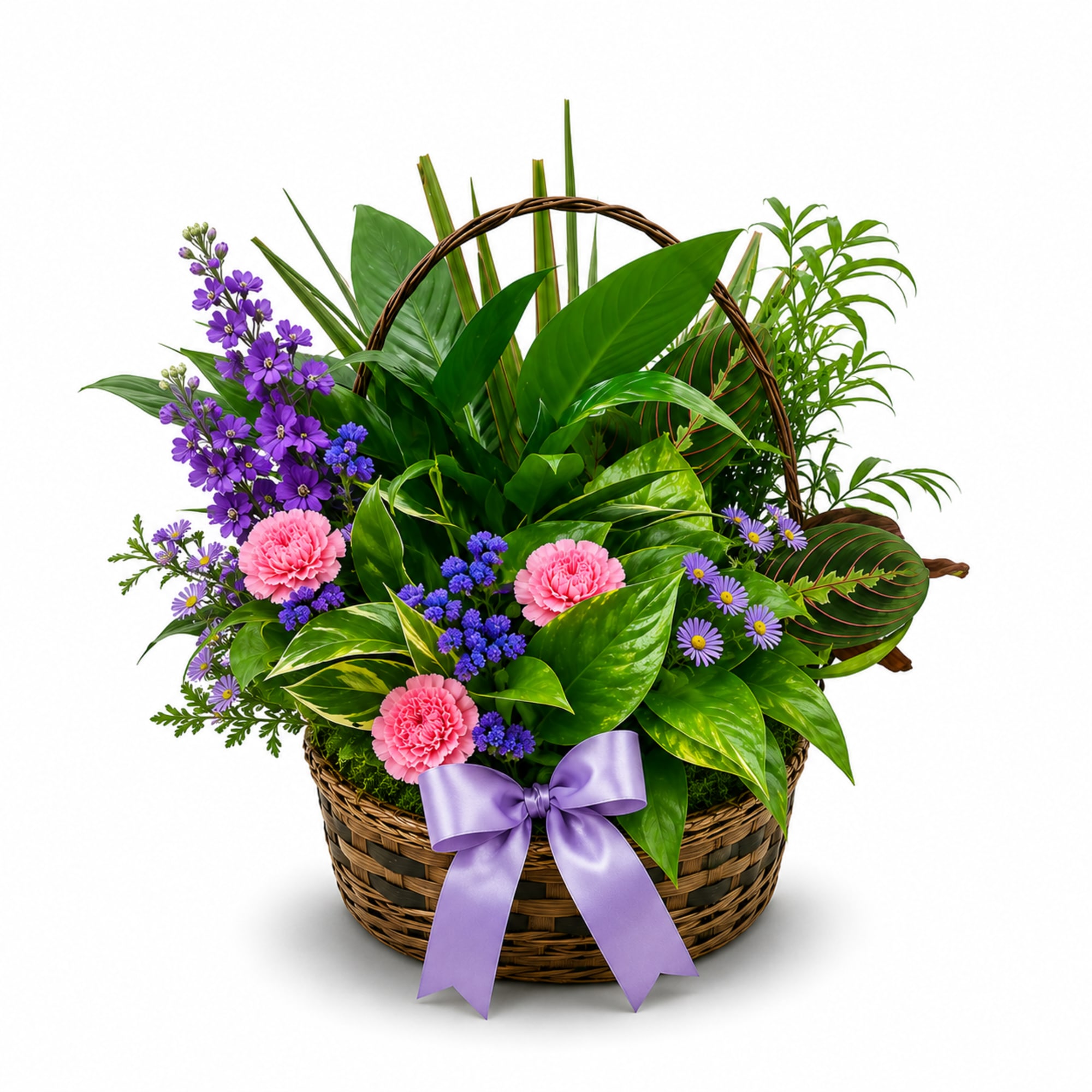 Our Nature's Embrace is a thoughtful gift that continues to grow long