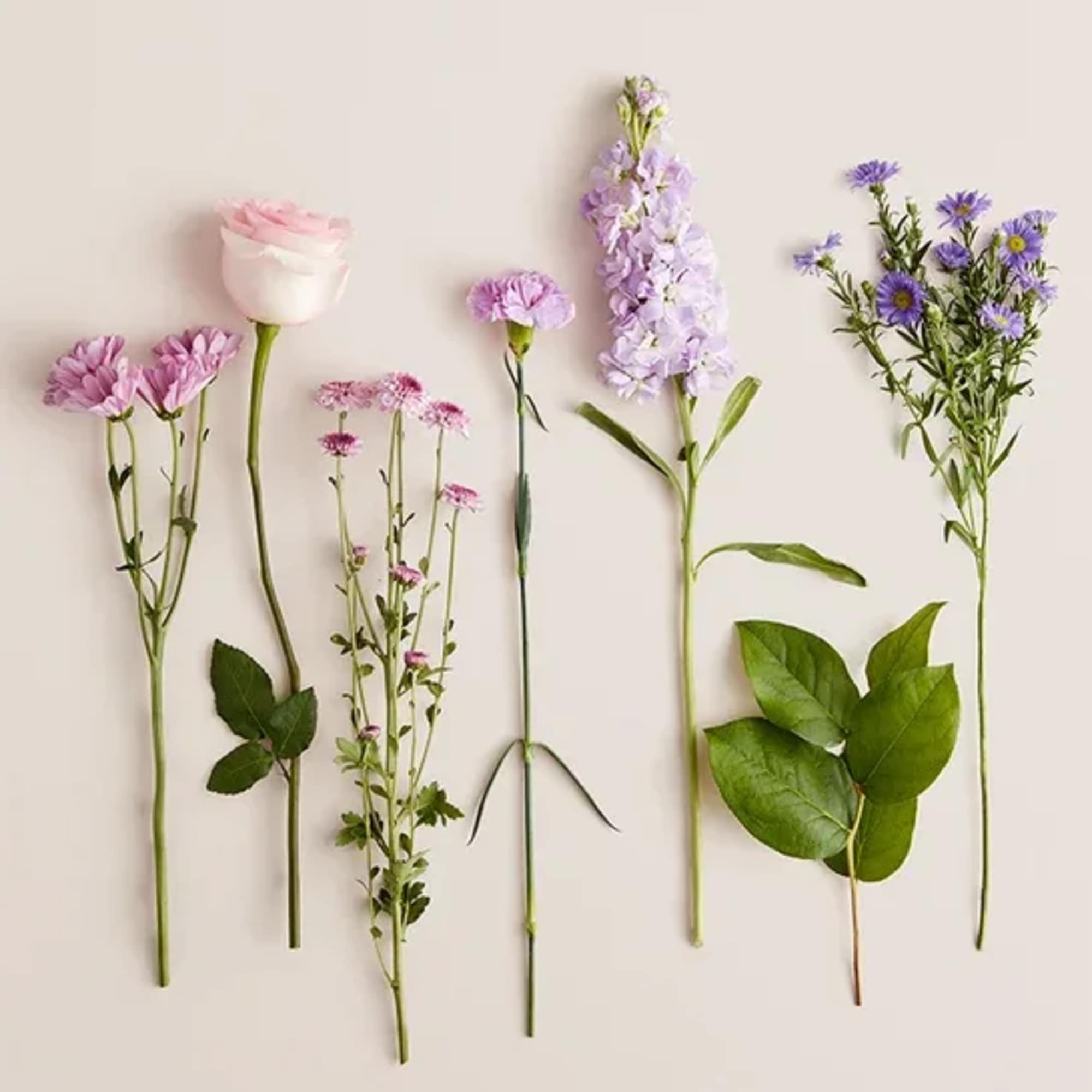 Just like a daydream. Our delightful lavender bouquet is gathered with accents