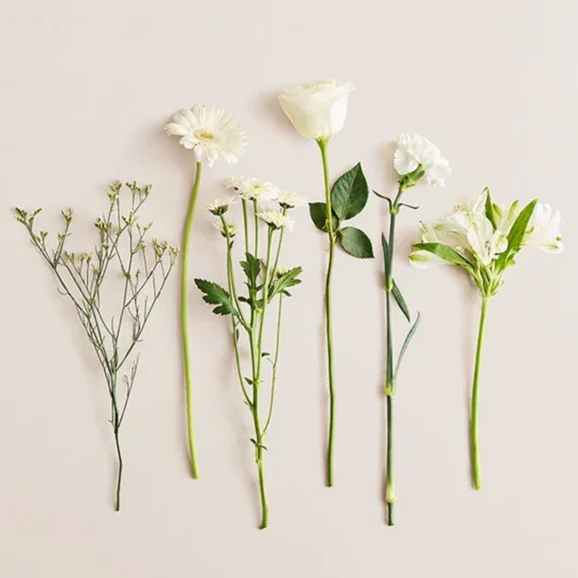 Assorted white flowers and greenery stems laid on a pale background