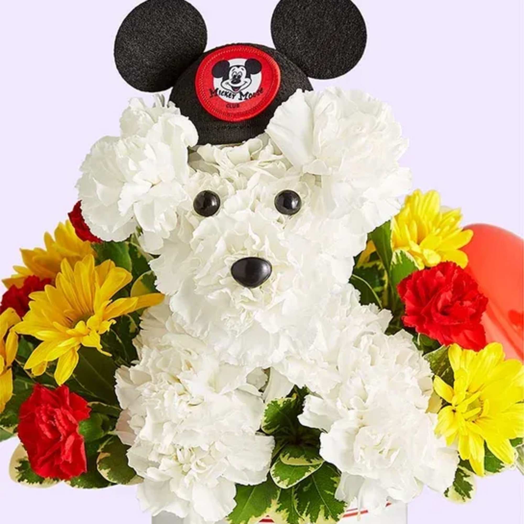 EXCLUSIVE Our signature flower pup has plenty of character(s)! Part of our, photo 3 of 3