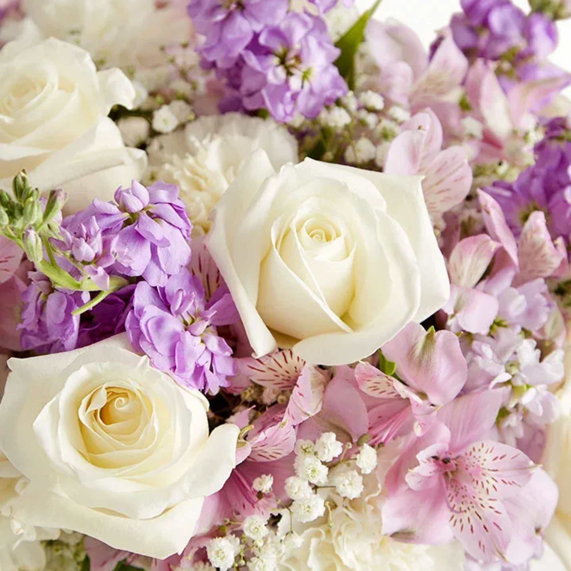 Bouquet of white roses and pink-purple flowers