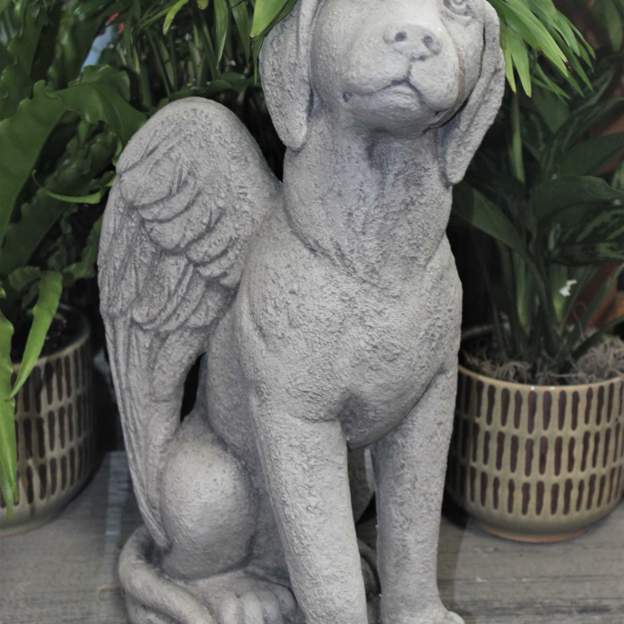 Stone dog statue in front of potted plants