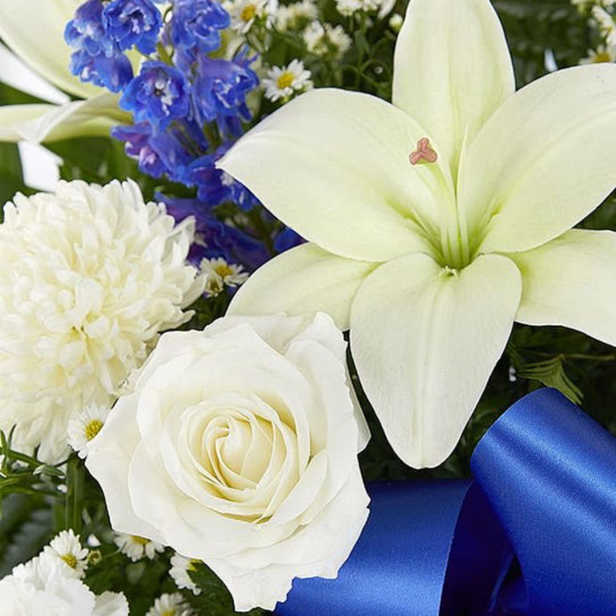 White lily, rose, and blue flowers with a satin ribbon