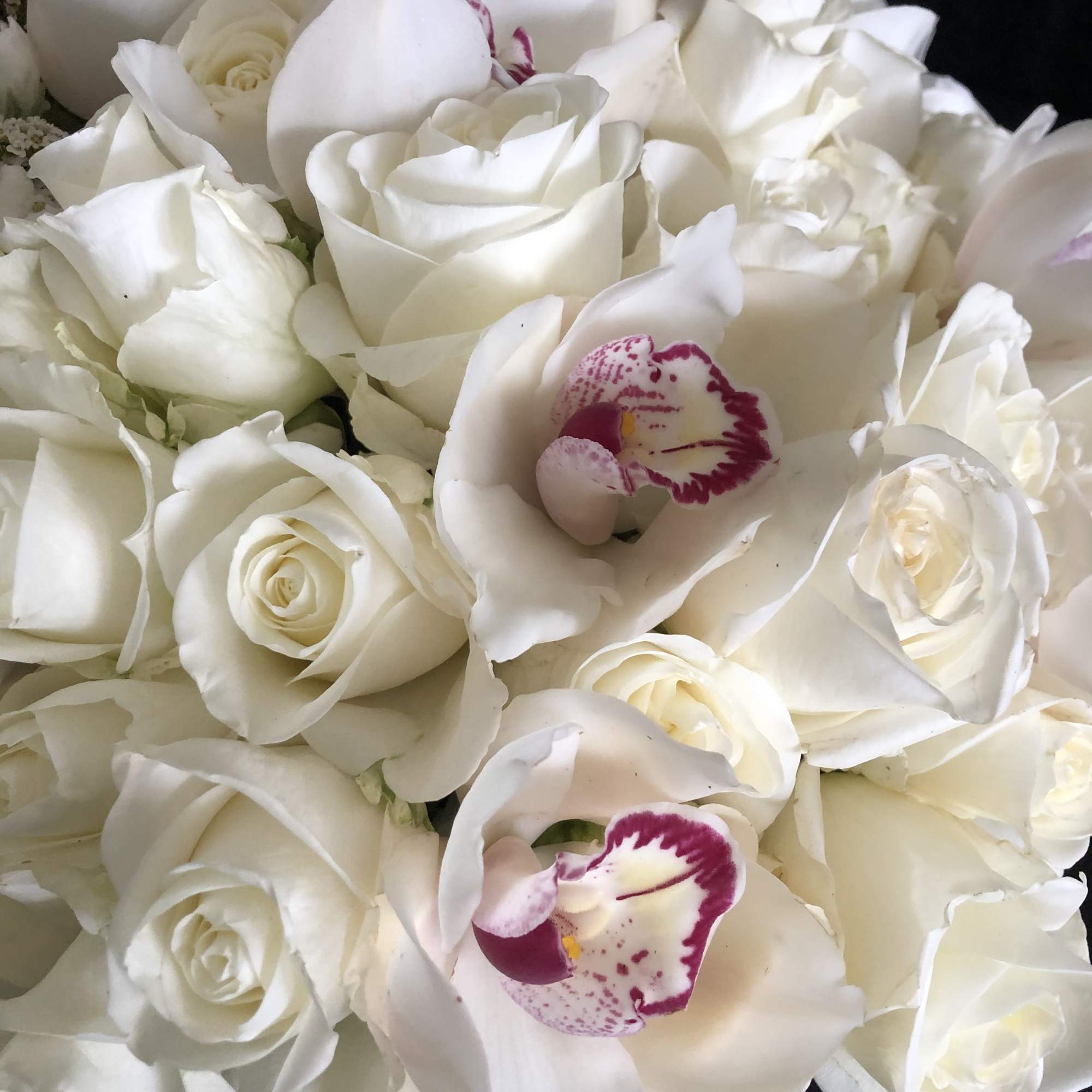 White roses and white orchids arranged in a tight bouquet