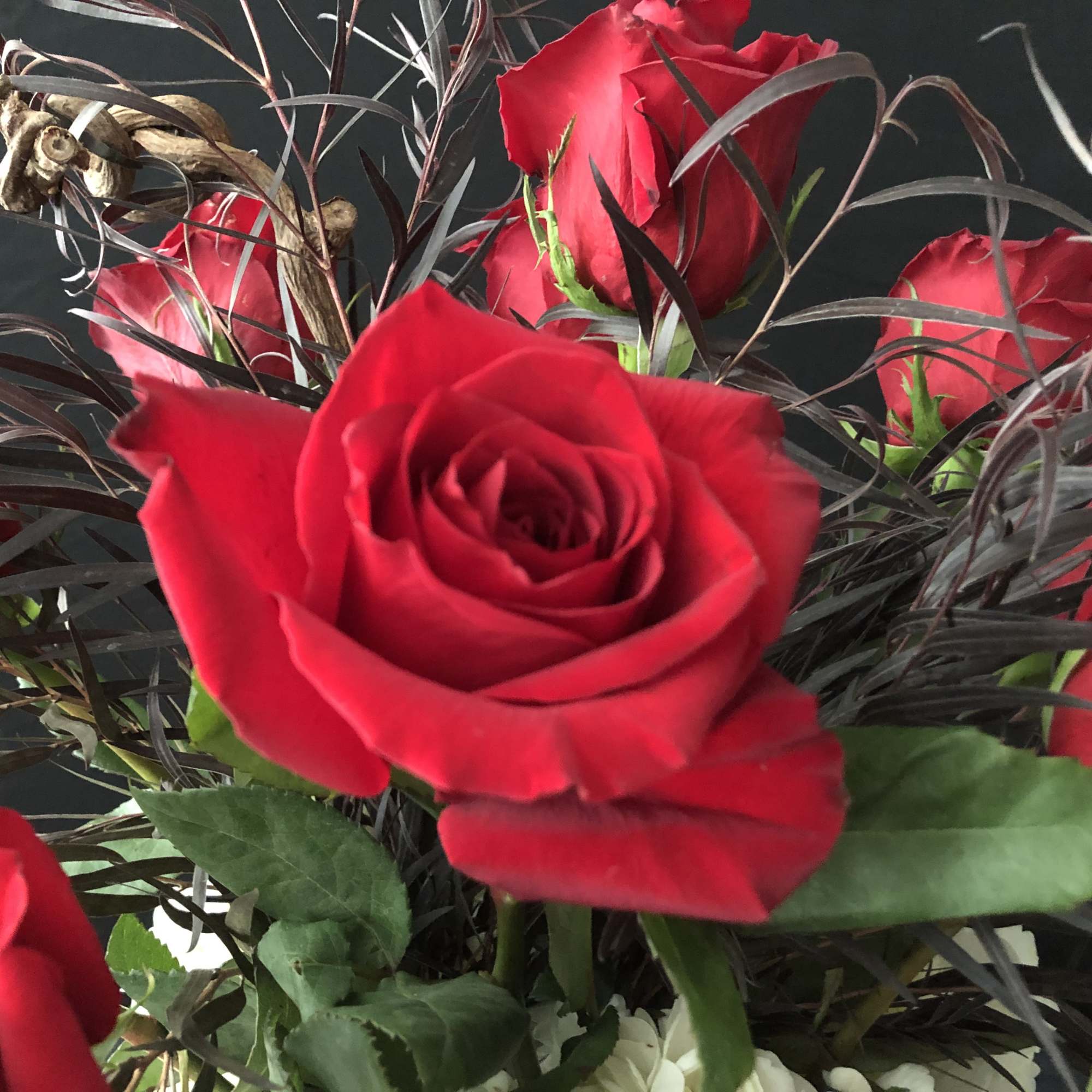 Close-up bouquet of red roses with dark decorative foliage
