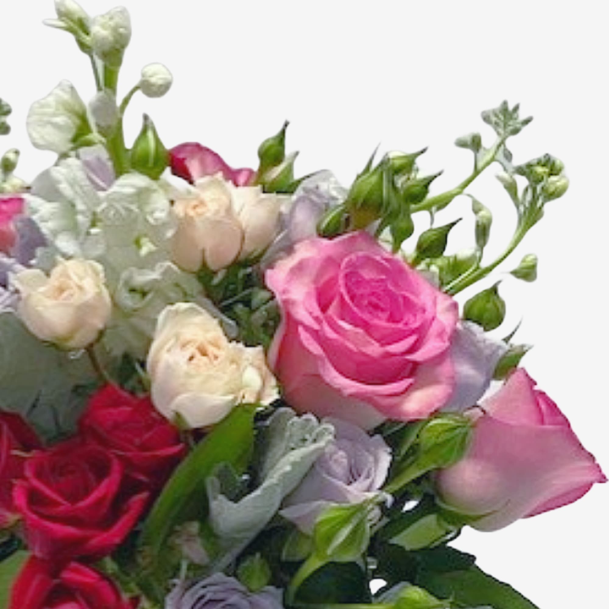 Bouquet of pink, white, and lavender roses with small white blooms
