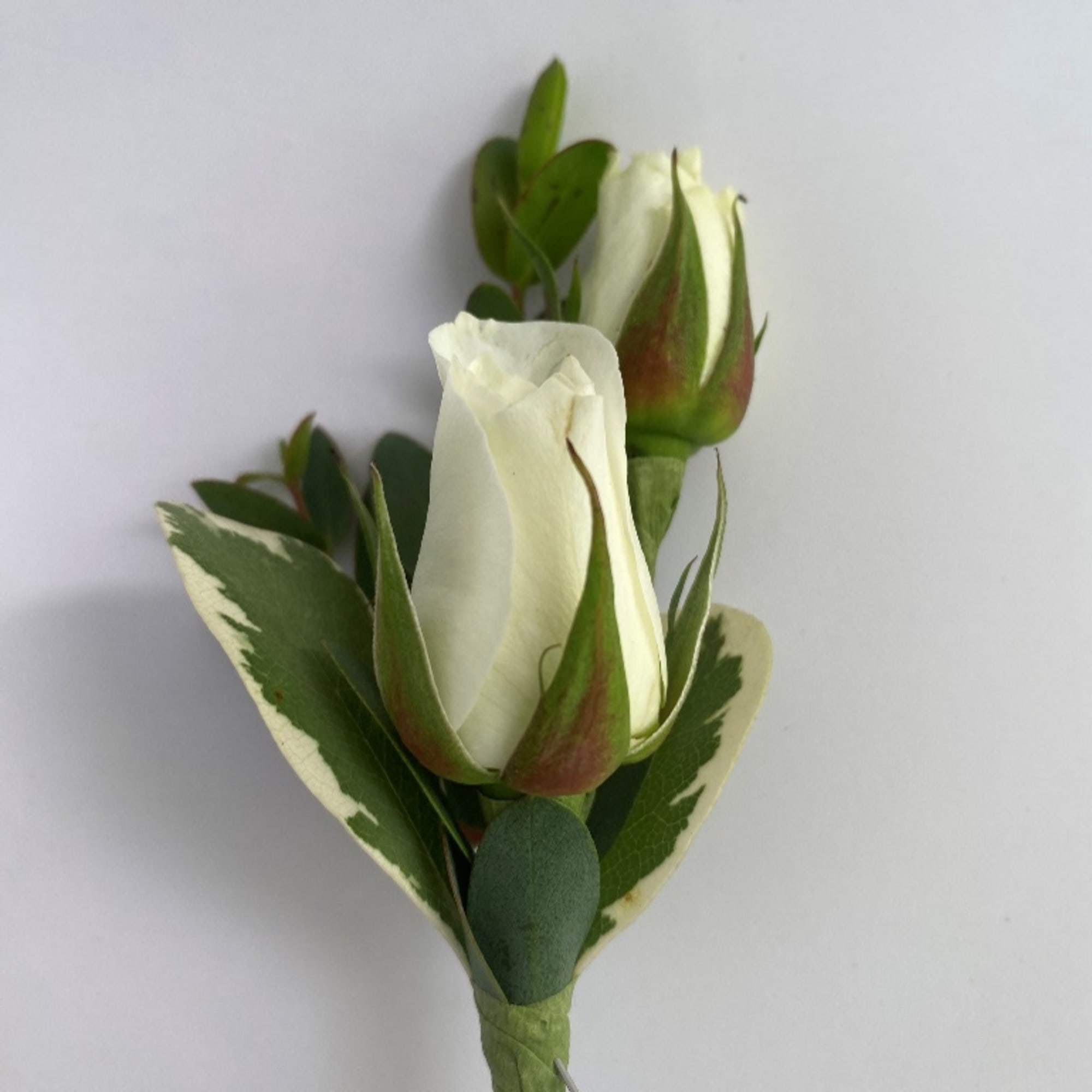 Add a touch of timeless elegance to your formal attire with our