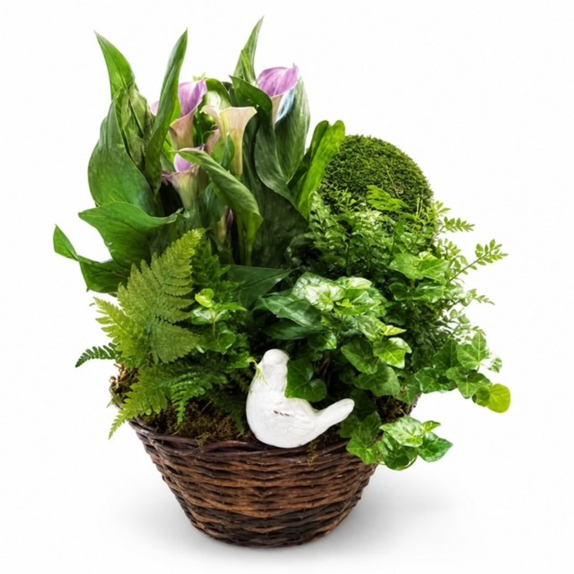 Basket planter with purple calla lilies and assorted green plants, plus a white bird figurine