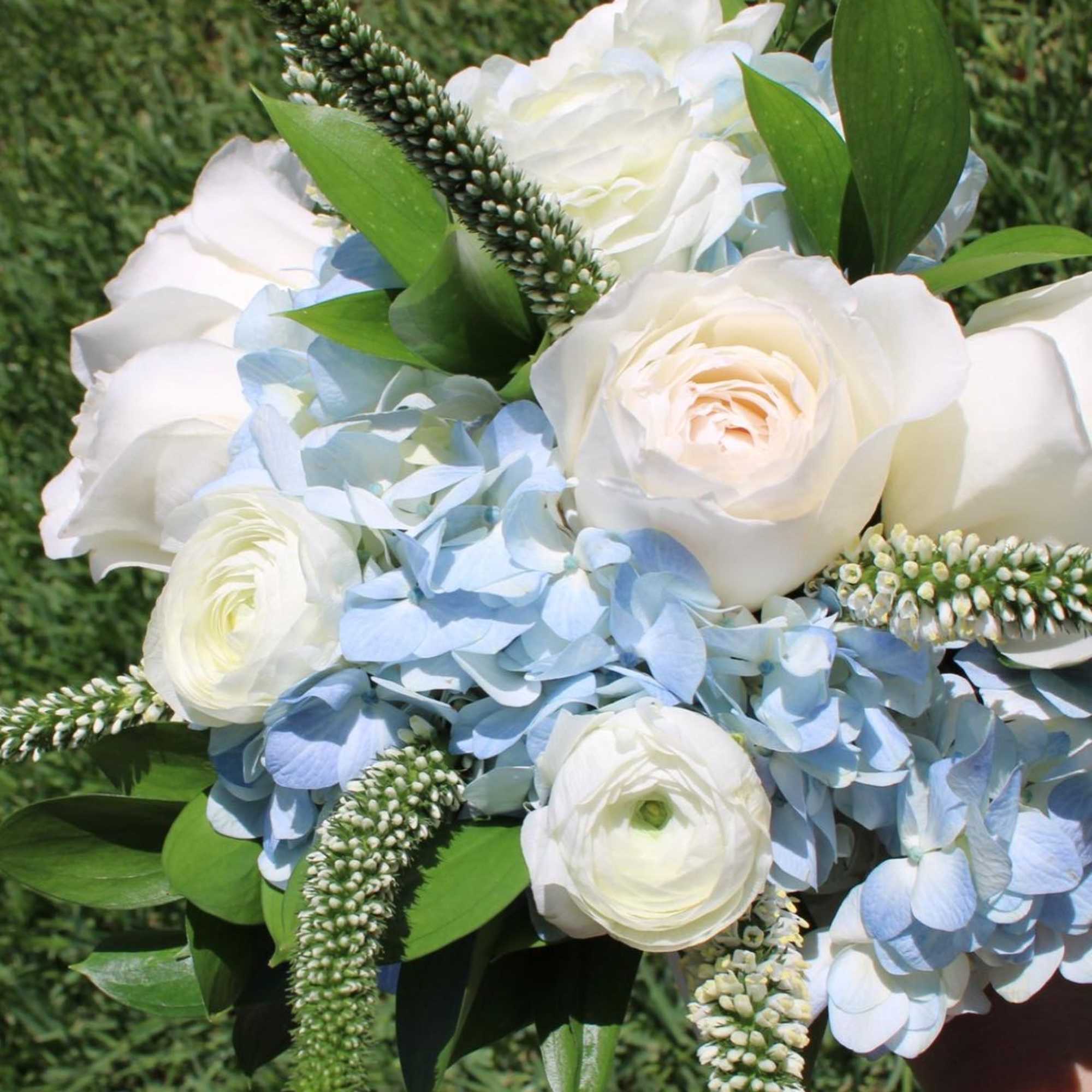 White roses and pale blue hydrangeas in a hand-held bouquet