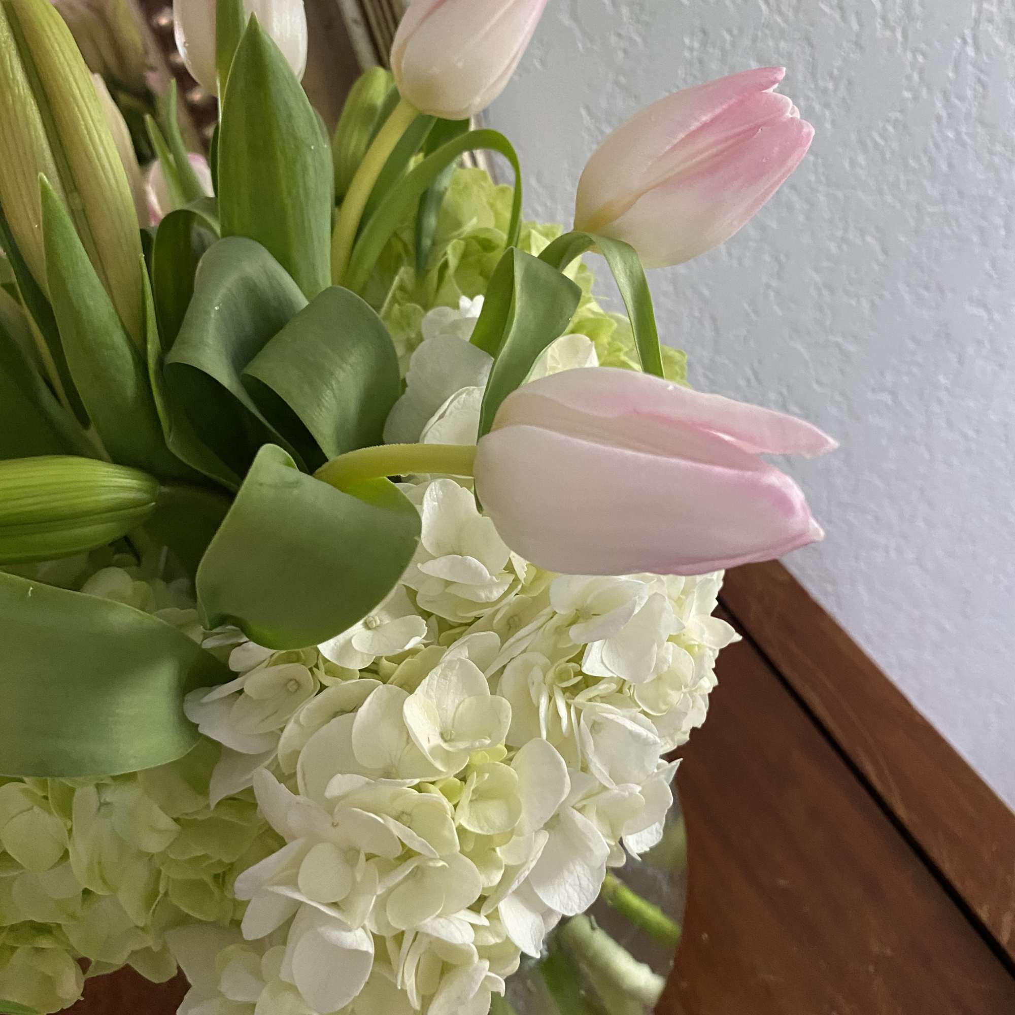 Pink tulips arranged with white hydrangeas in a glass vase