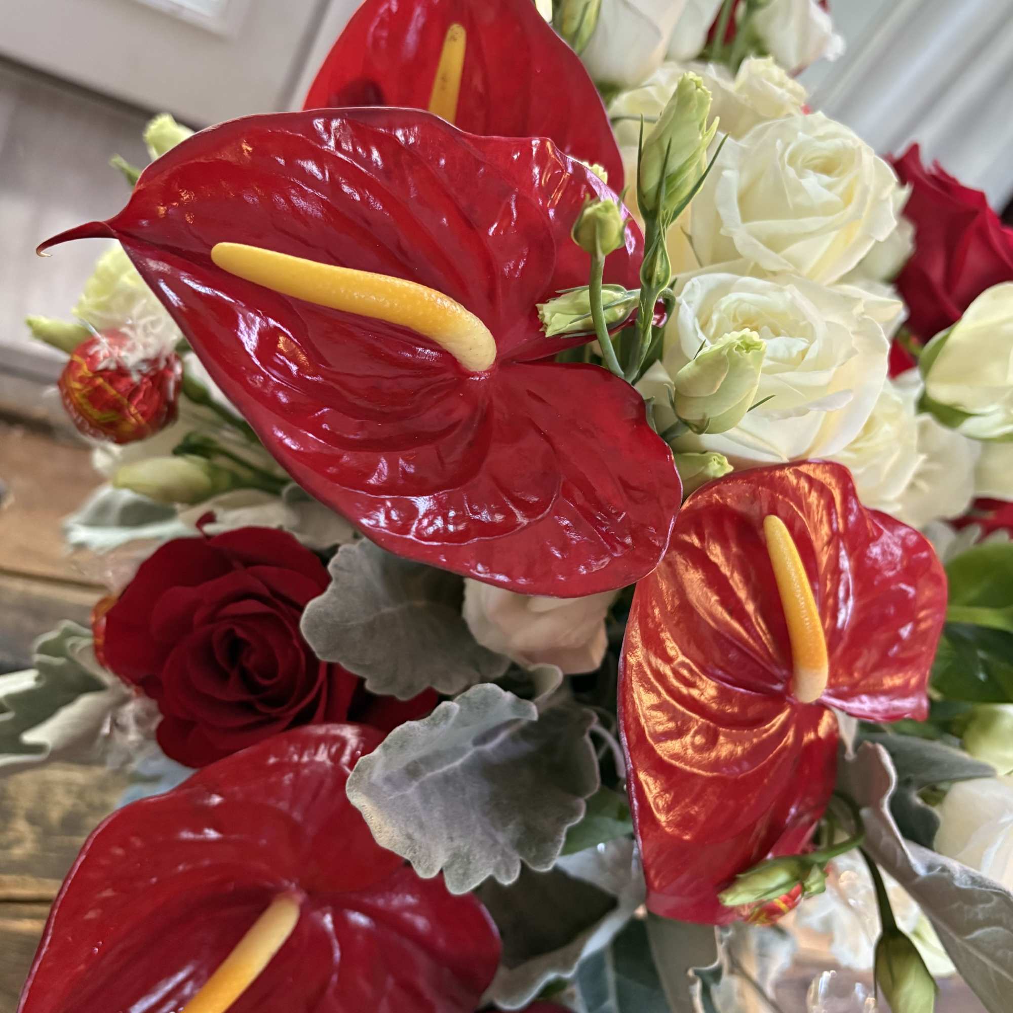 Bouquet of red anthuriums and white roses with gray foliage