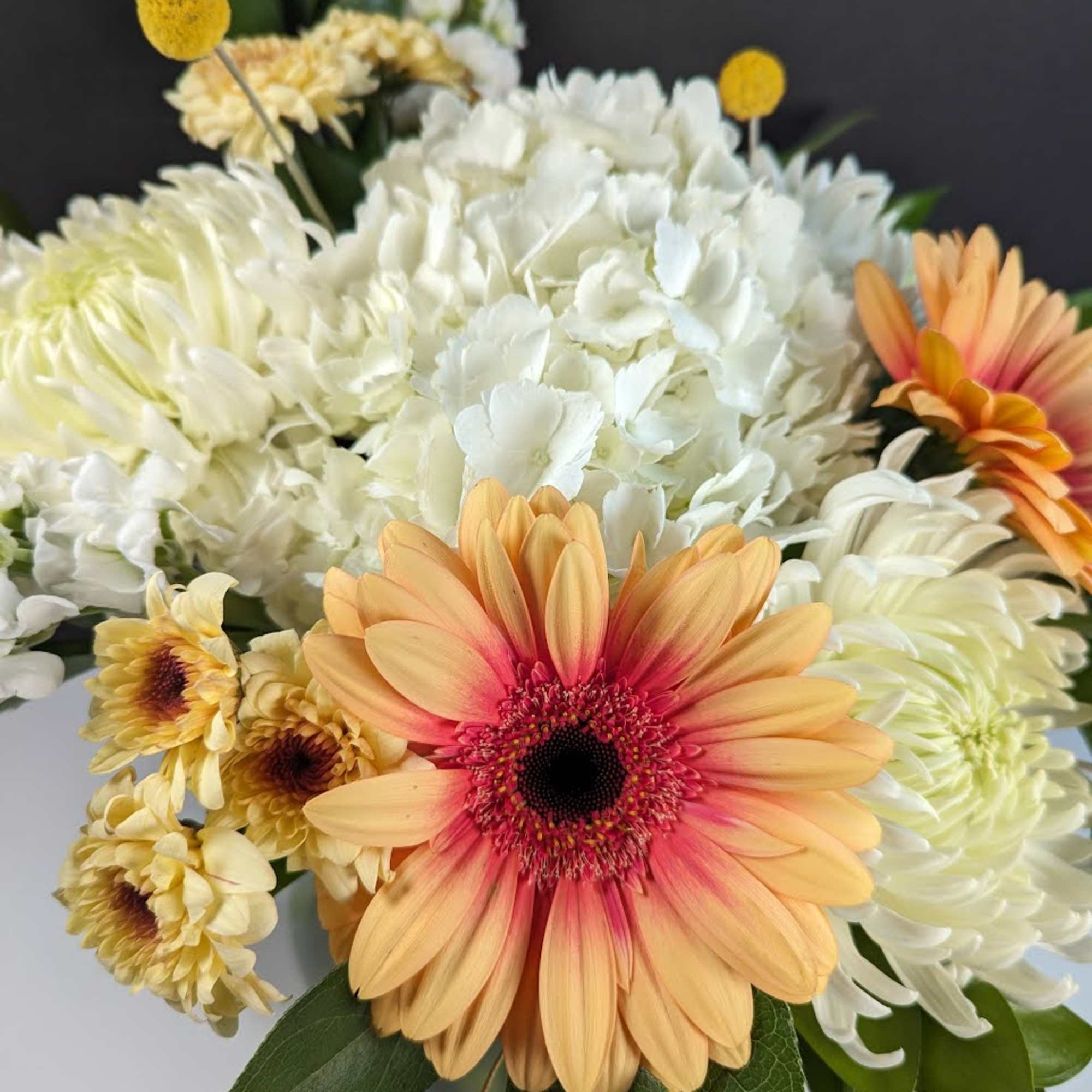 Bouquet of white and peach gerbera daisies with yellow pompons