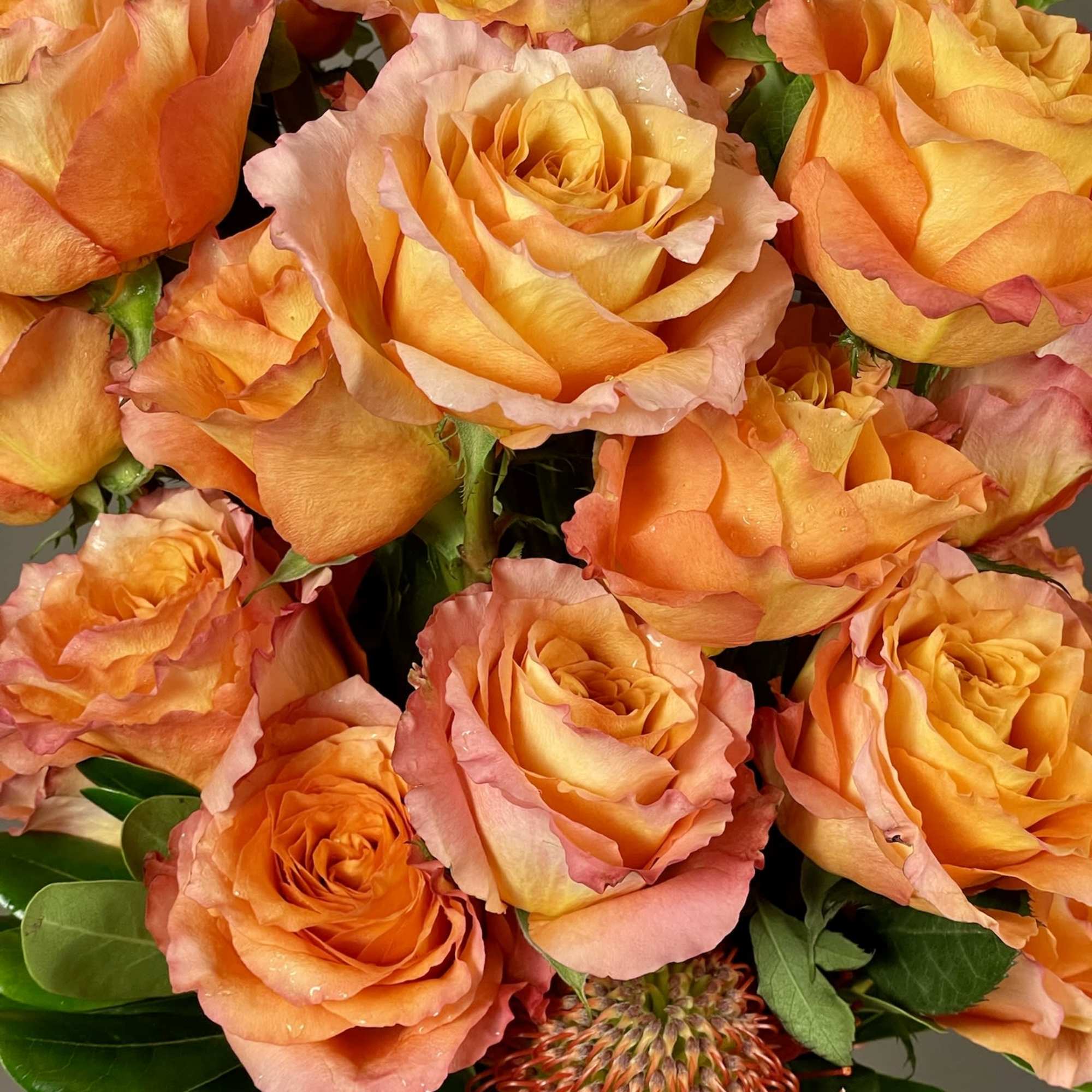 Bouquet of orange and pink roses with green foliage