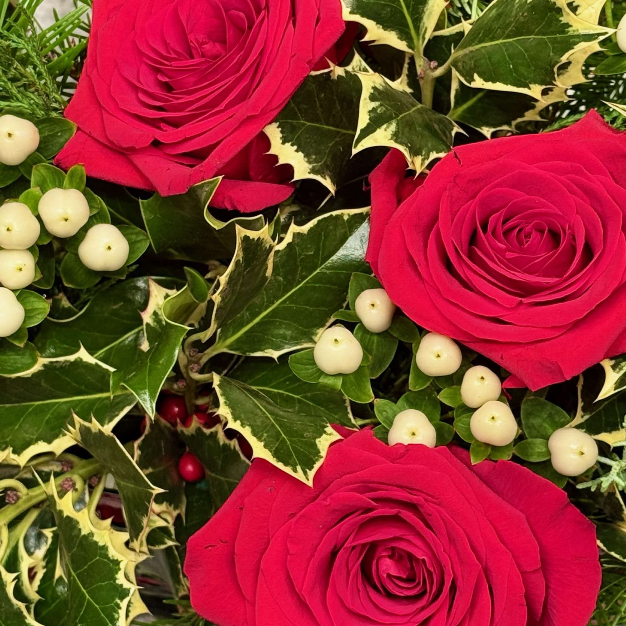 Close-up bouquet of red roses with variegated holly and white berries
