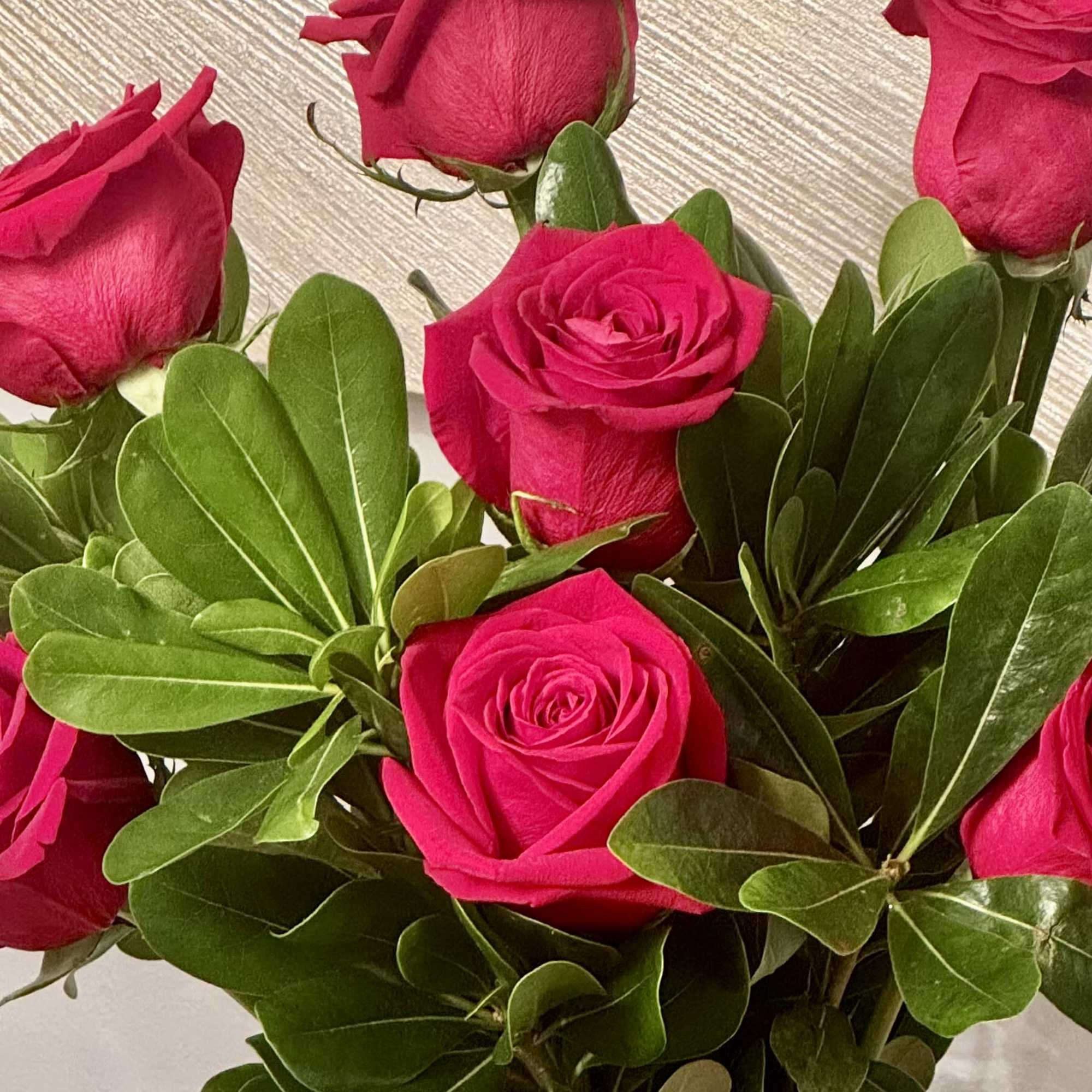 Bouquet of hot pink roses with glossy green foliage