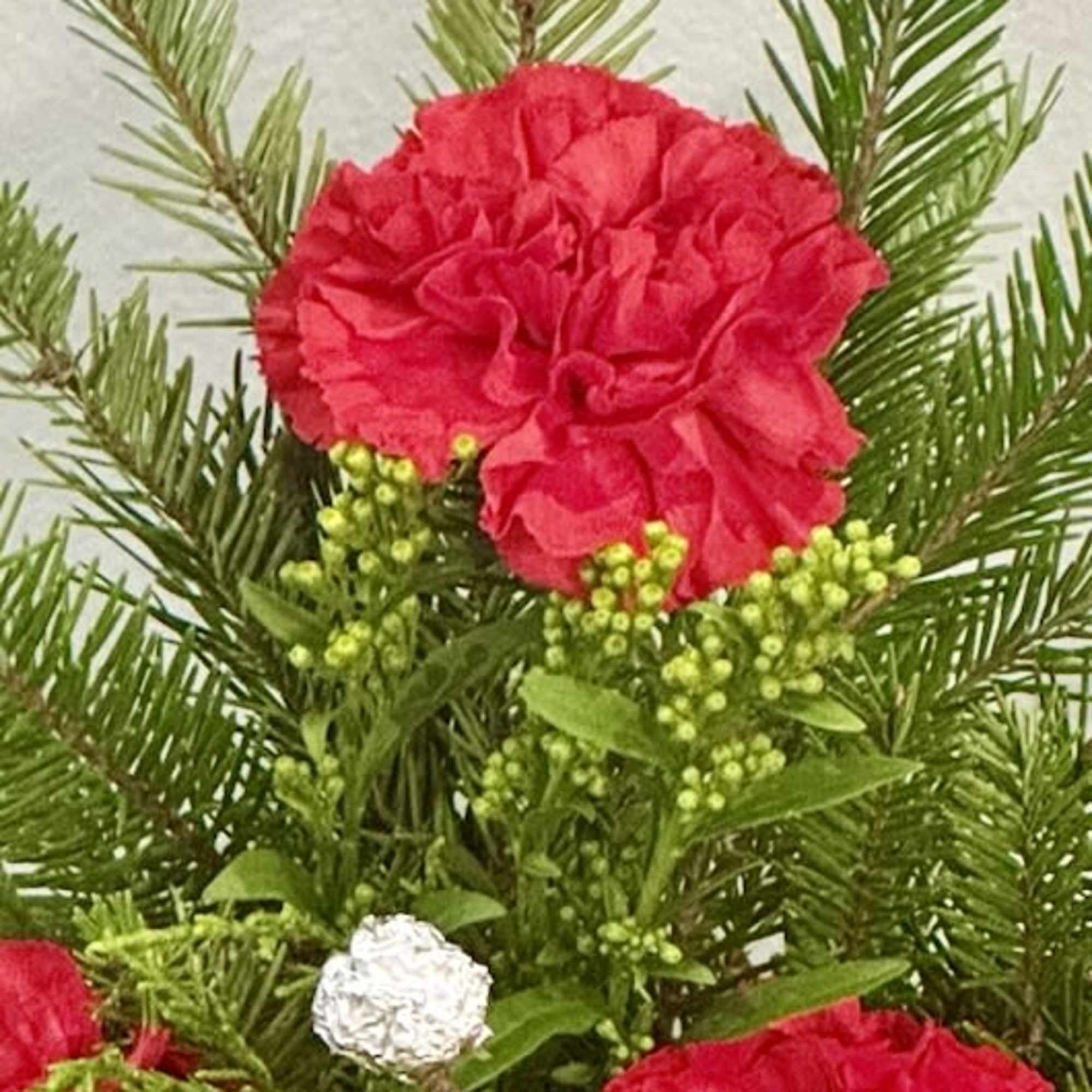 Red carnation arrangement with evergreen foliage and small white accents