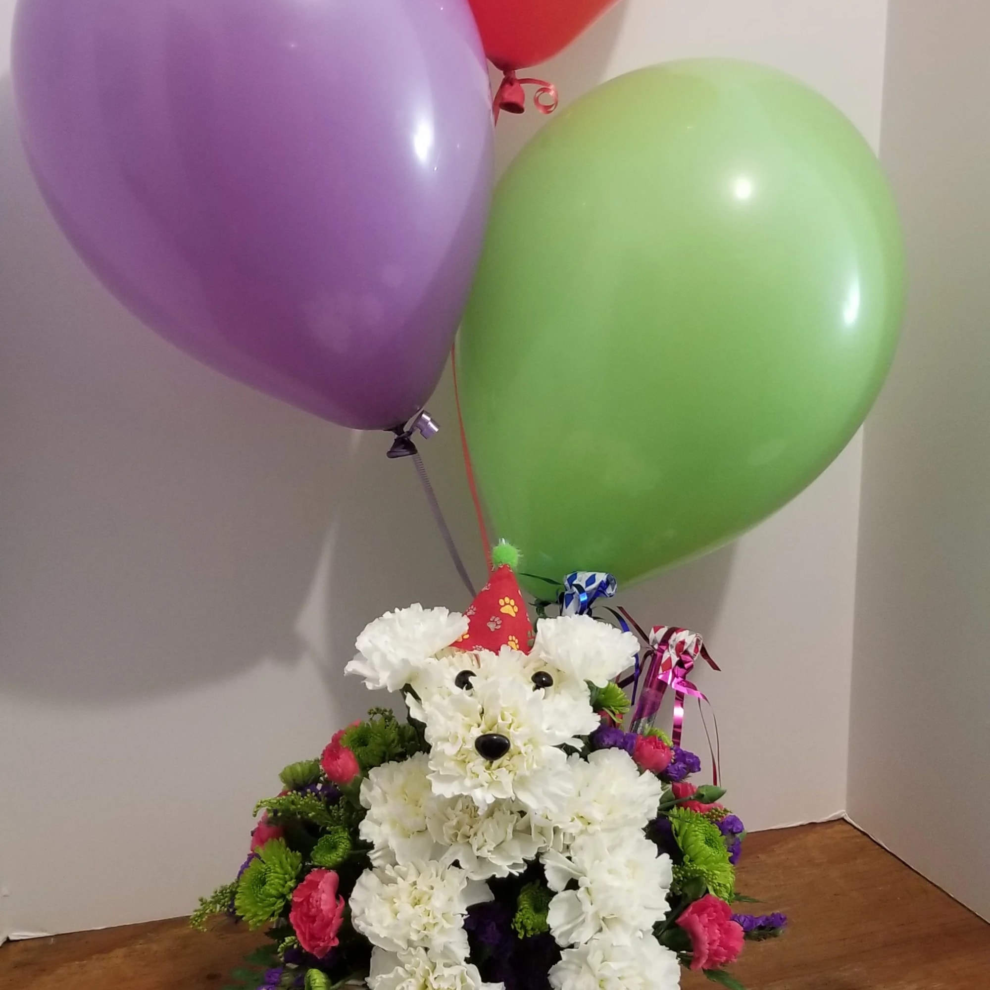Put this playful pooch on the invite list for their next birthday, photo 2 of 2