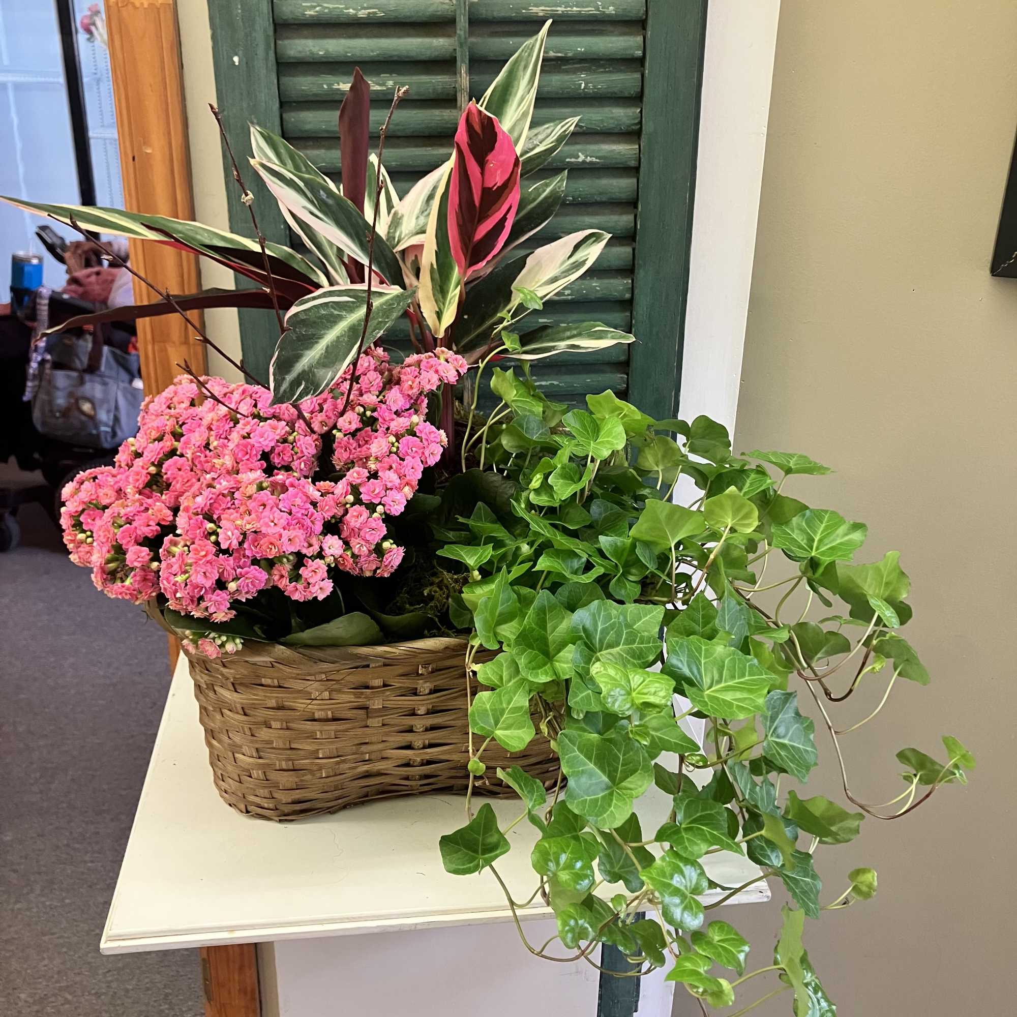 Indoor houseplants are great gifts and we have a large selection of