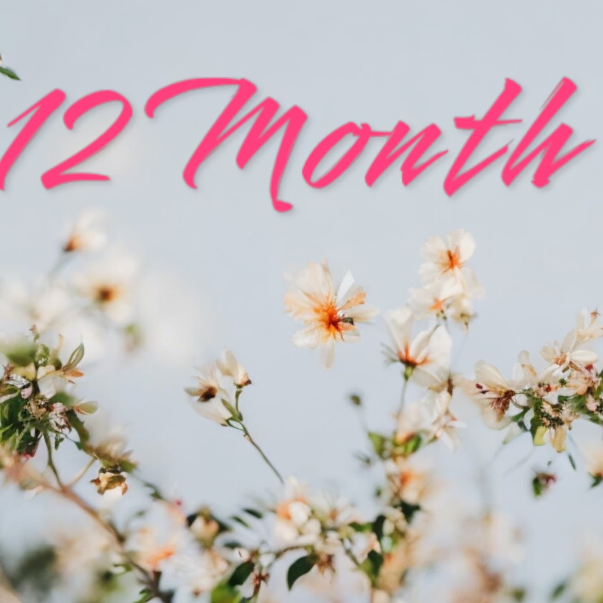 Pink "12 Month" text above delicate white flowers