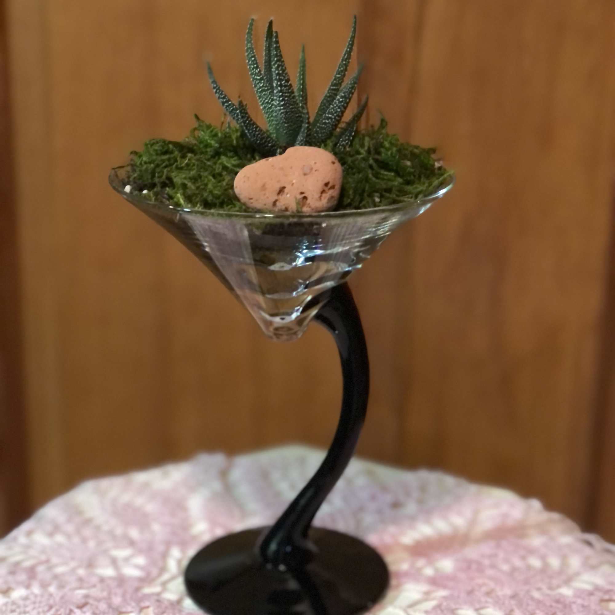Succulent in a martini glass planter with moss and a small stone