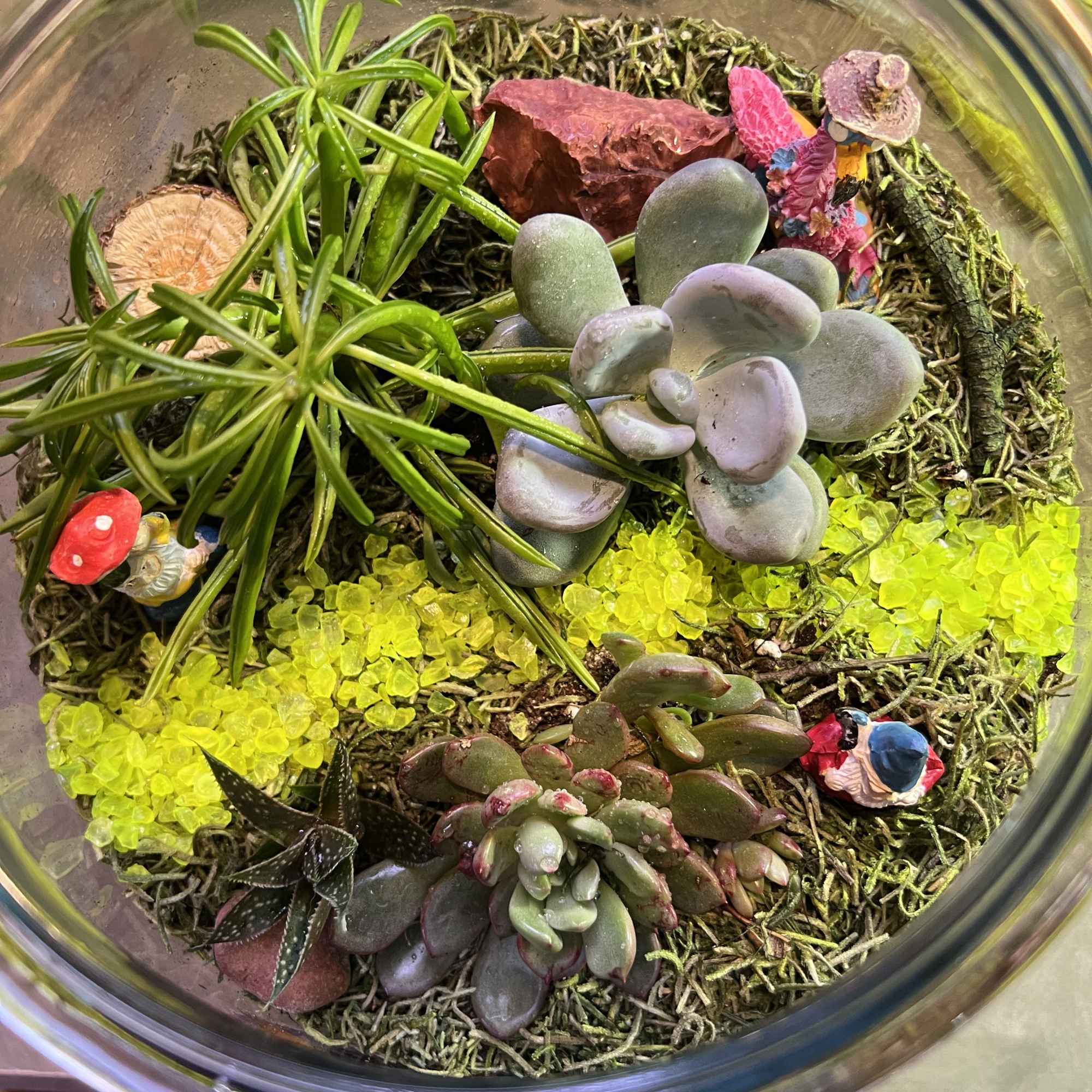 Glass terrarium with assorted succulents and decorative stones