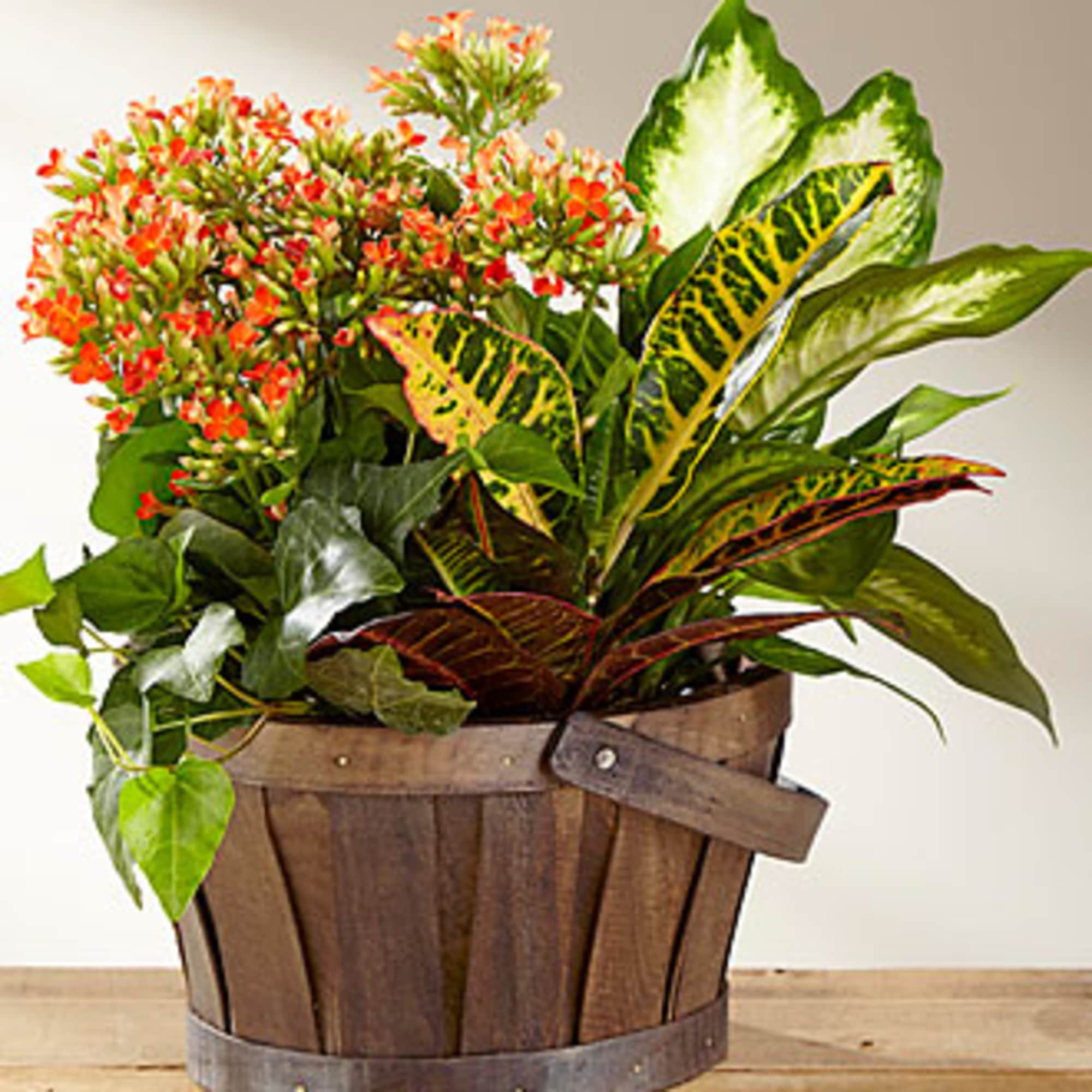 Tropical plant arrangement in a wooden basket with orange blooms