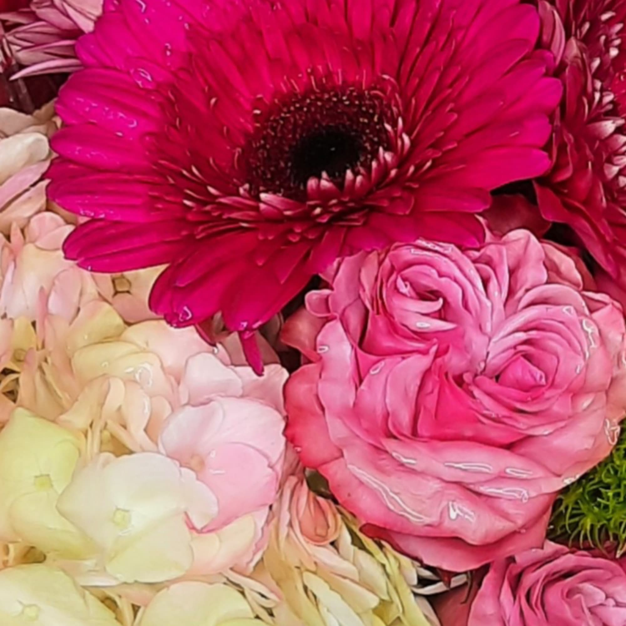 Close-up bouquet of pink gerbera daisies, roses, and pale hydrangeas