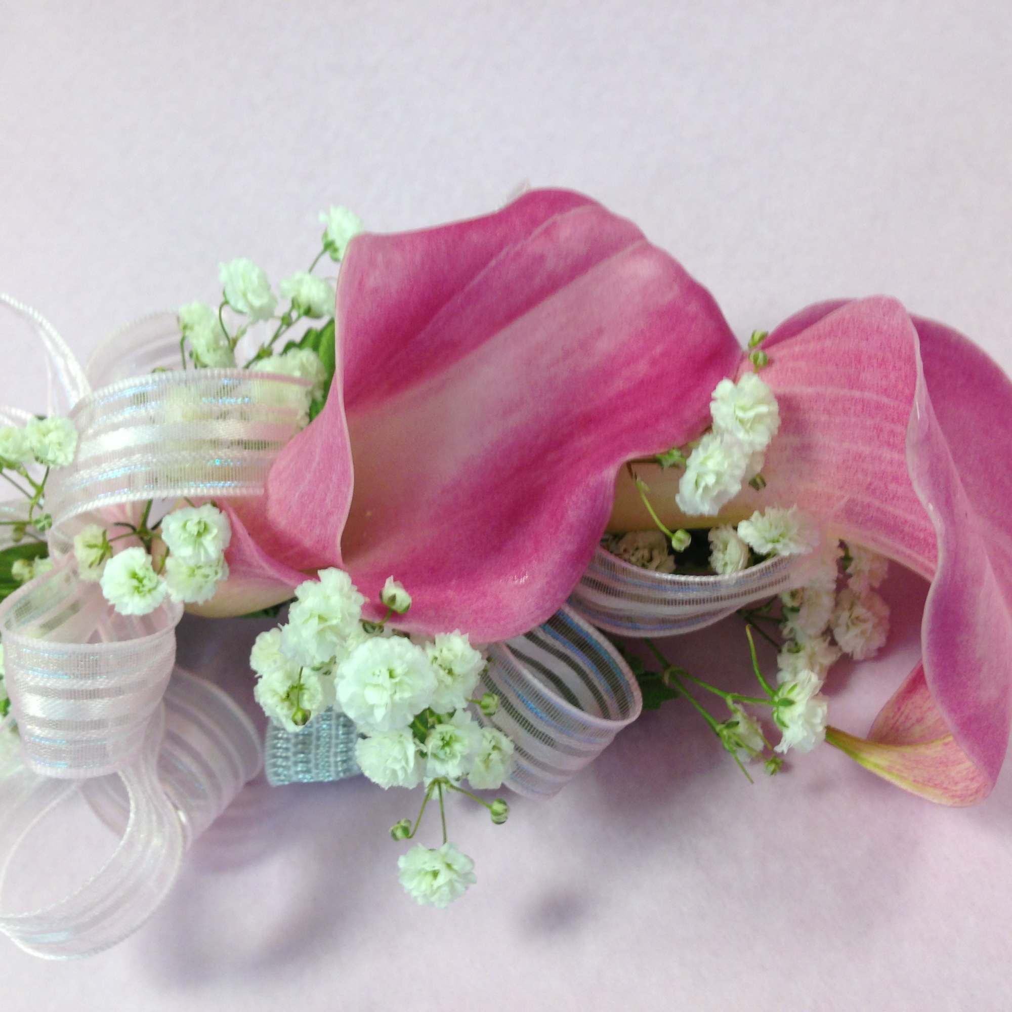 Pink calla lilies with white baby's breath and ribbon loops