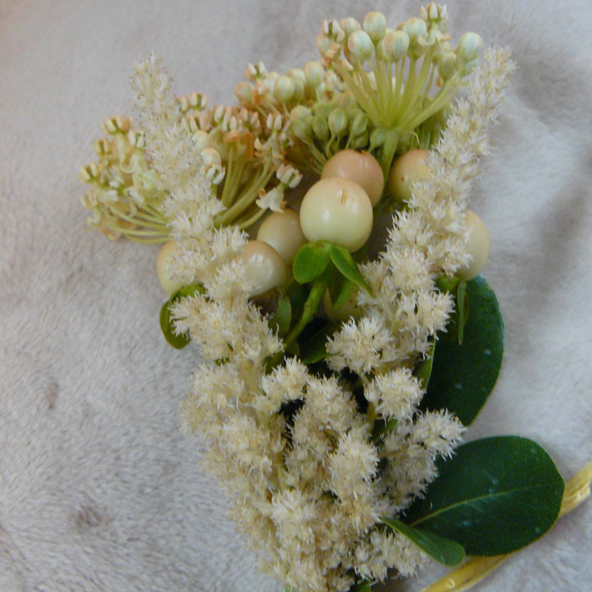 Small bouquet of cream flowers with green berries and glossy leaves