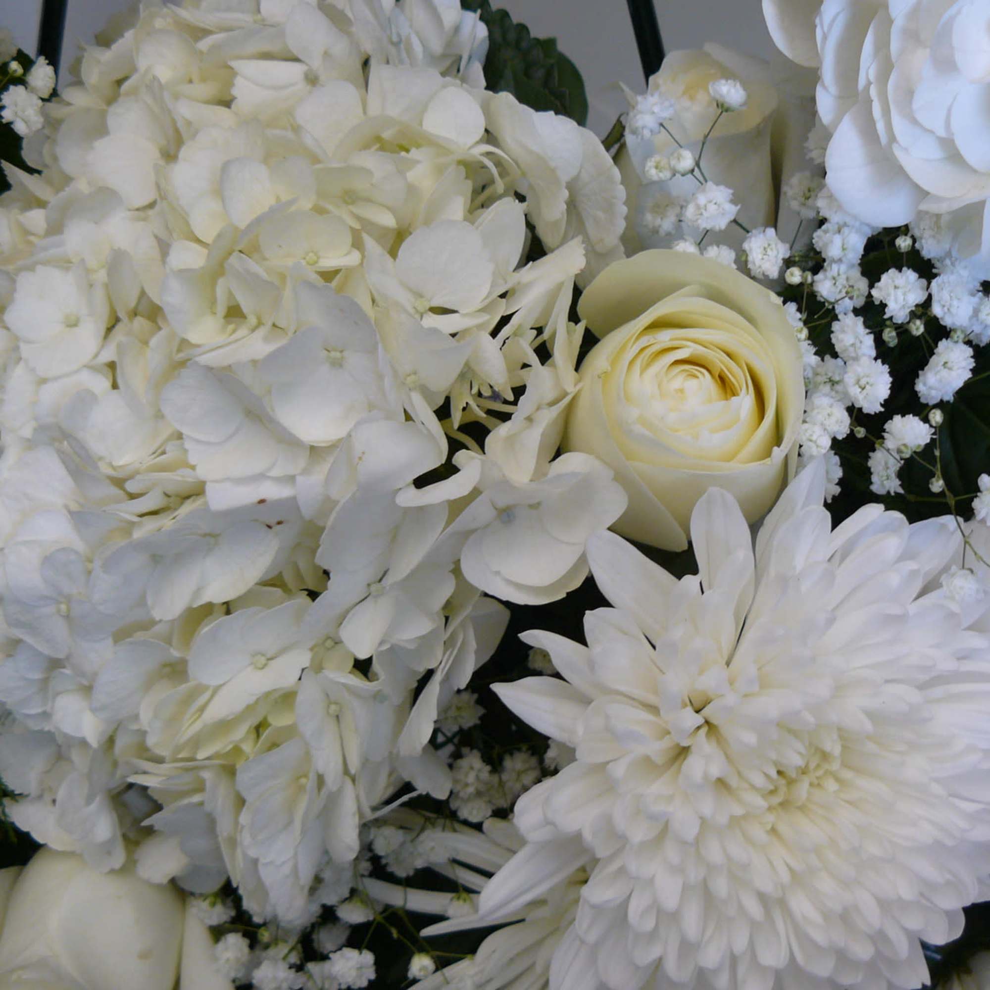Peonies(Sesasonal), Roses, Cremons, Mums, Hydrangea, Babies Breath, Ferns Fancy Greens, Ribbon.

Call Store, photo 3 of 3