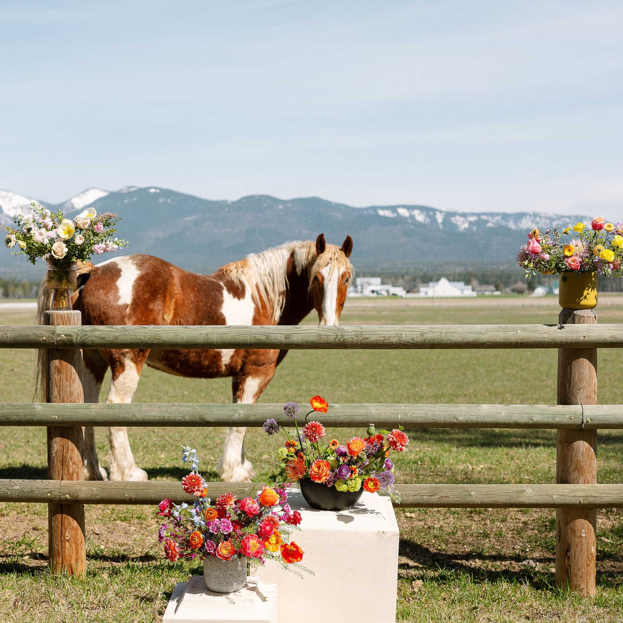 Colorful mixed flower arrangements in vases by a wooden fence with a brown and white horse in a field.