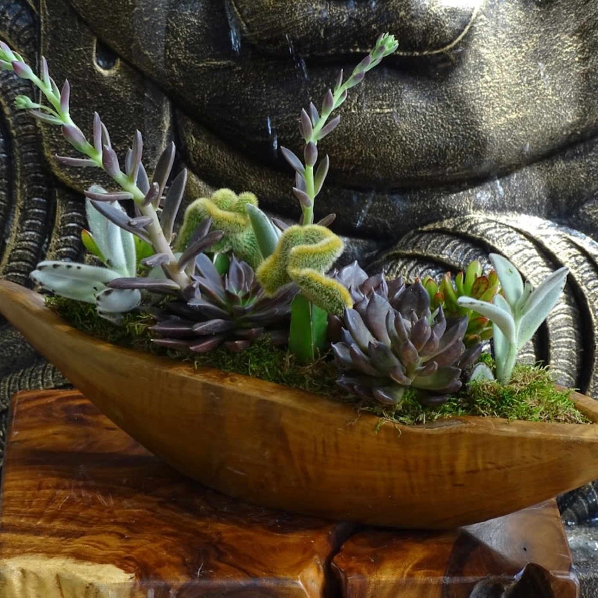 Succulents in handmade wood container. L 23" x W 7" x H, photo 2 of 2