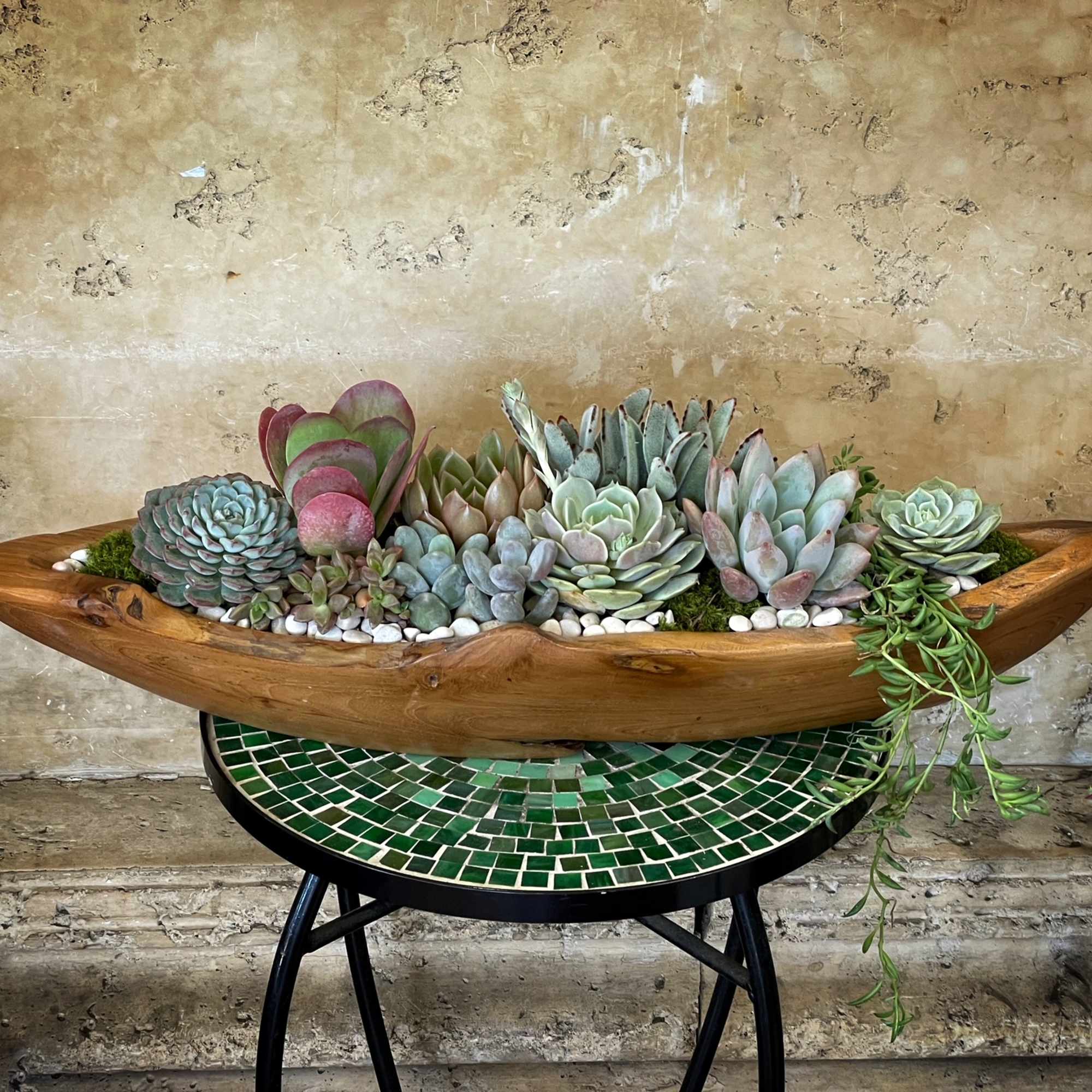 Succulents in handmade wood container. L 23" x W 7" x H