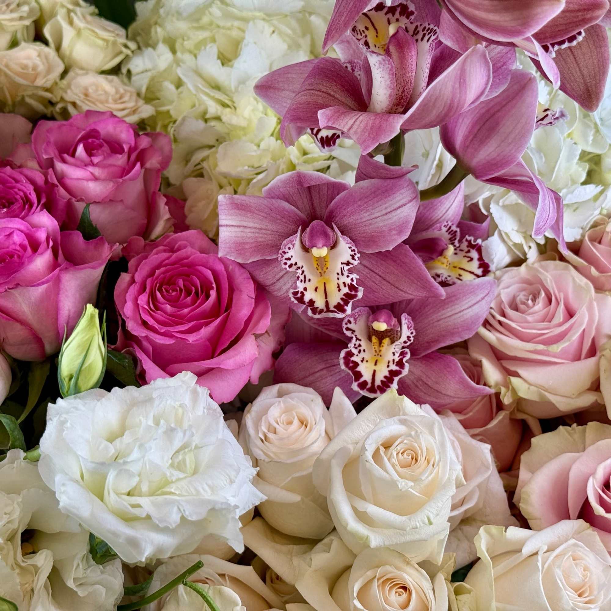 Mix Flowers in different variety and colors.
(If you like Tall or Short