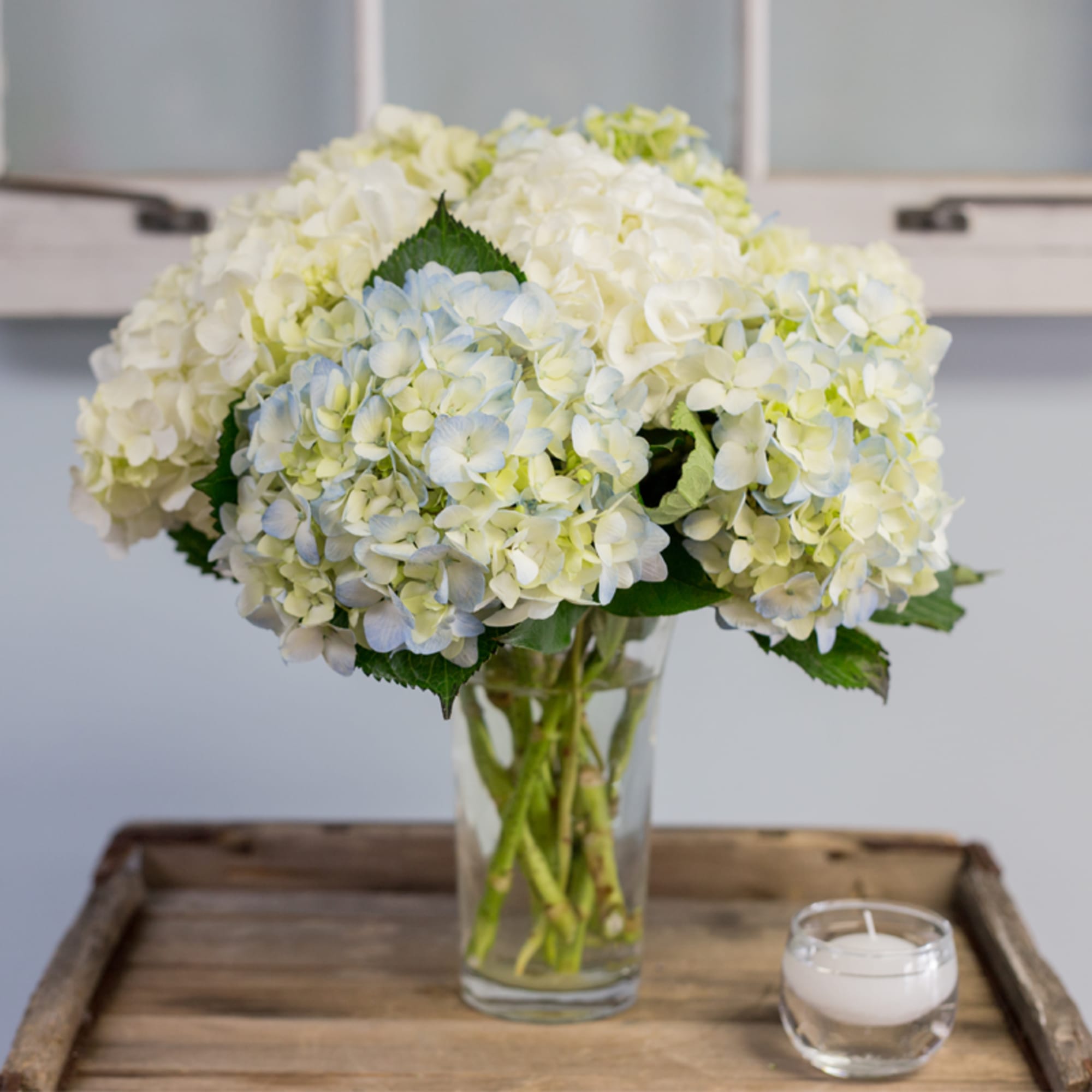 White and pale blue hydrangea bouquet in a clear glass vase