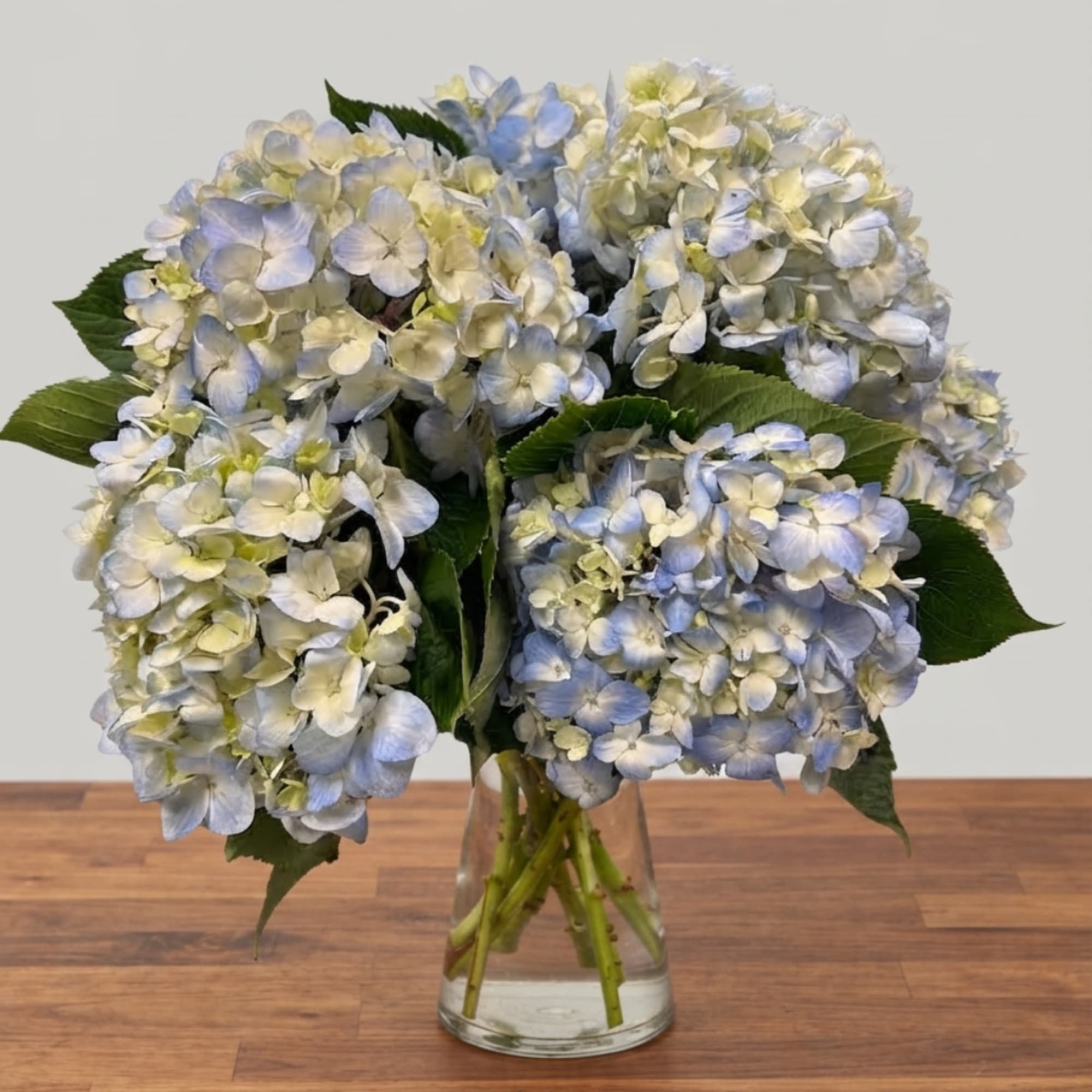 Blue and white hydrangea bouquet in a clear glass vase