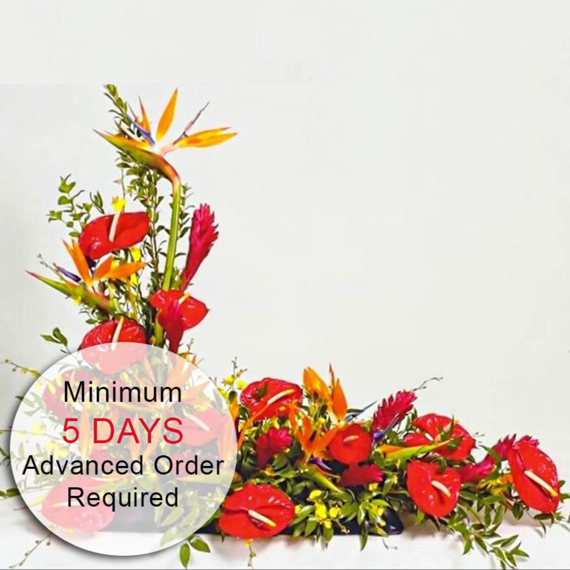 Asymmetrical tropical arrangement with red blooms and orange birds of paradise in a low black container