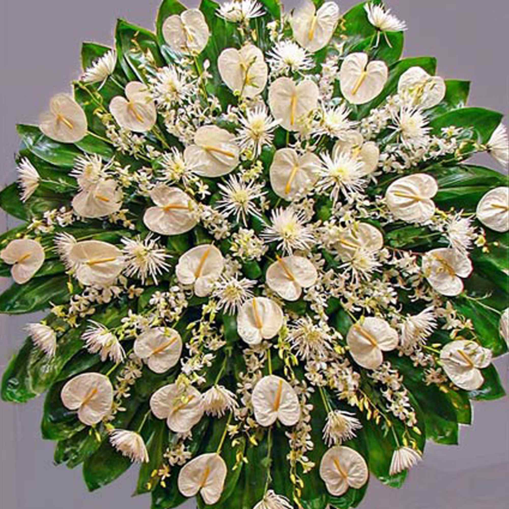 Large round arrangement of white tropical and spiky flowers over a base of glossy dark leaves
