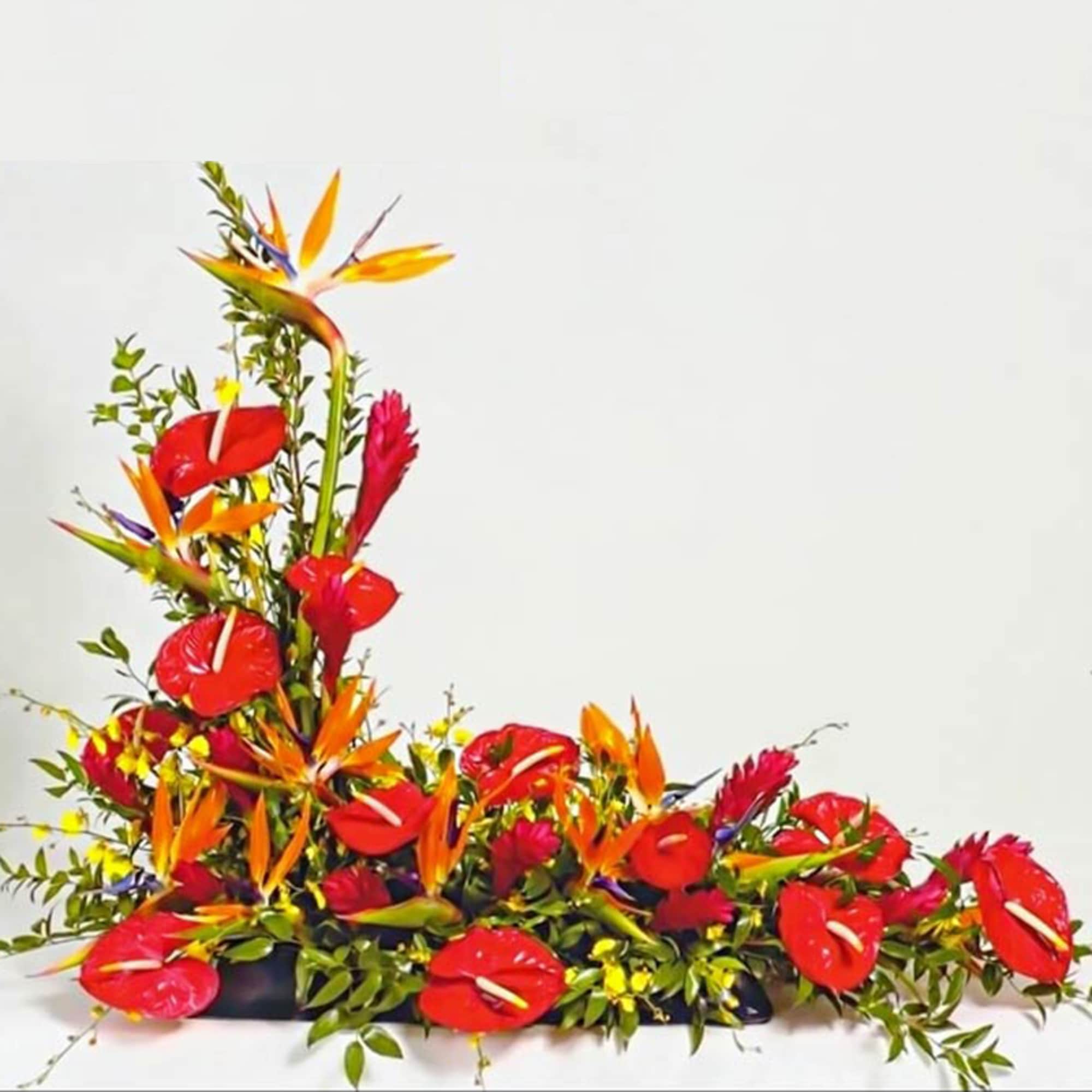 Tropical arrangement of red and orange flowers in a low black container